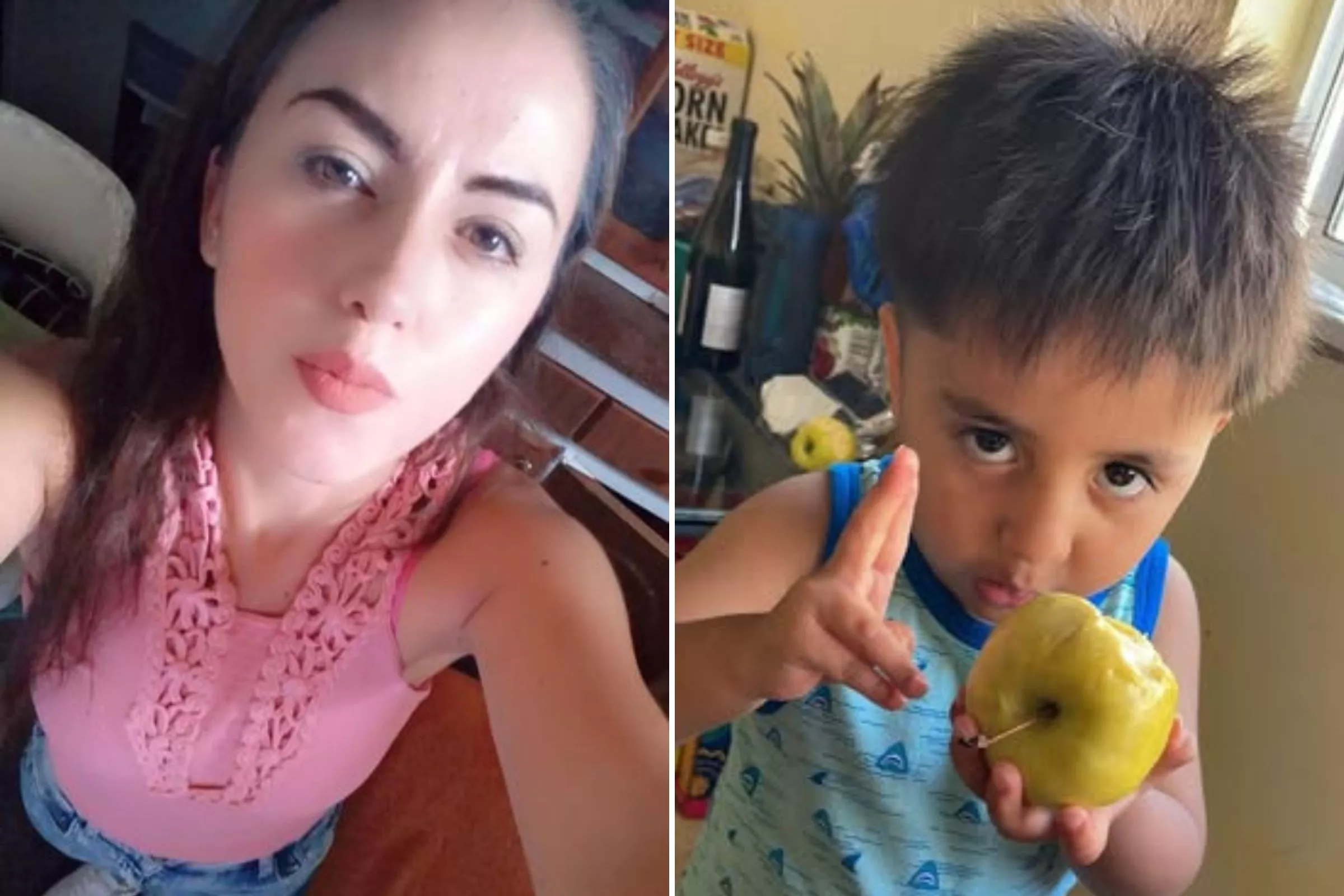 Police seek public's help in search for missing mother, 2-year-old son