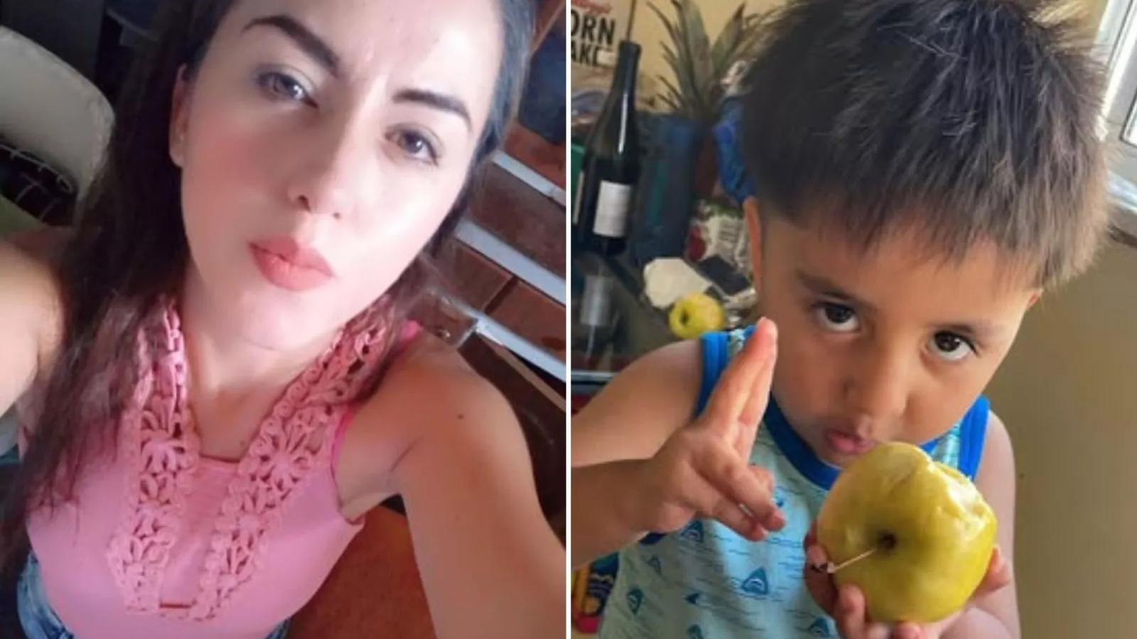Police seek public's help in search for missing mother, 2-year-old son