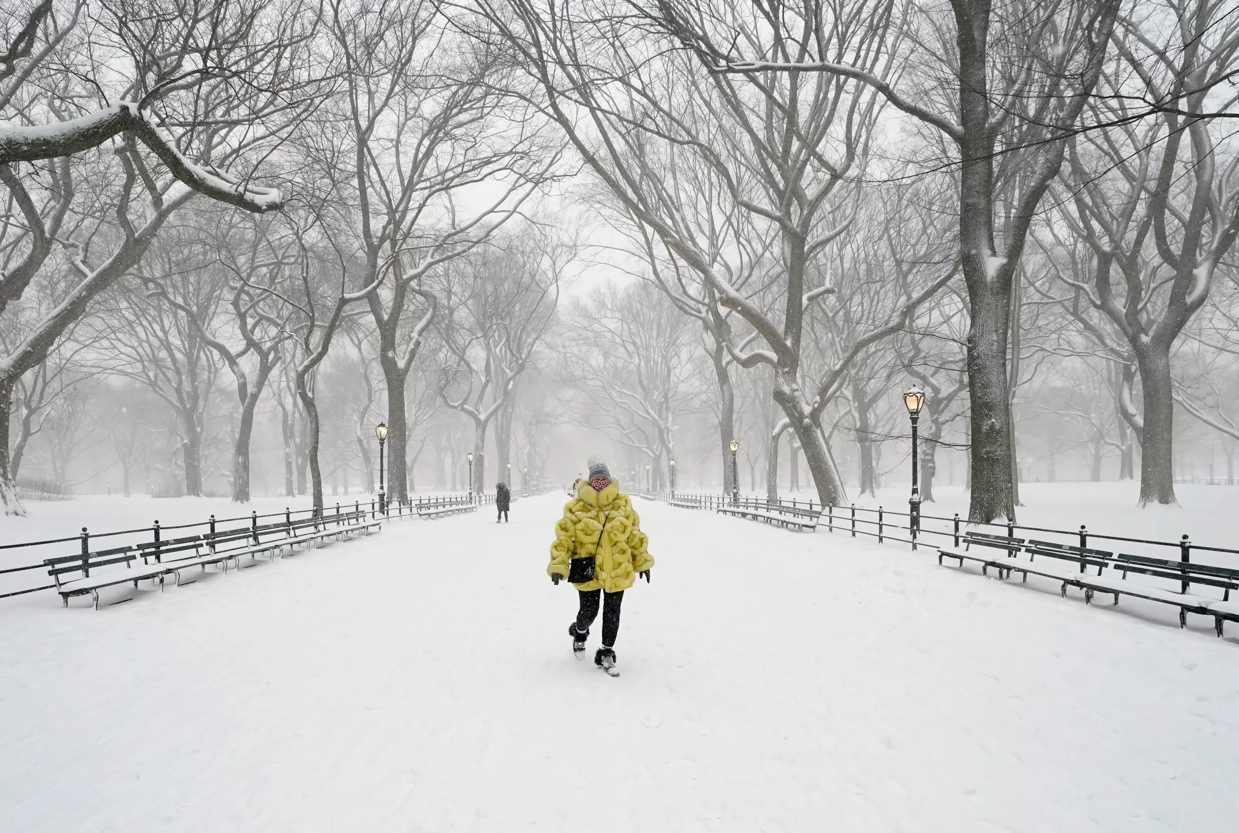 Winter weather warnings in 8 states as 12 inches of snow to hit