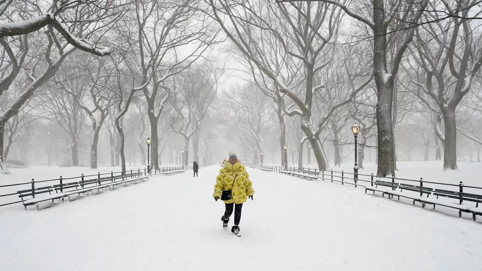 Winter weather warnings in 8 states as 12 inches of snow to hit