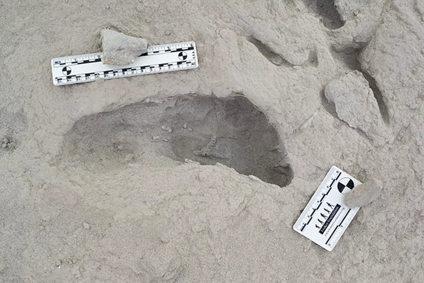 First-of-its-kind fossil find reveals extinct human species lived together