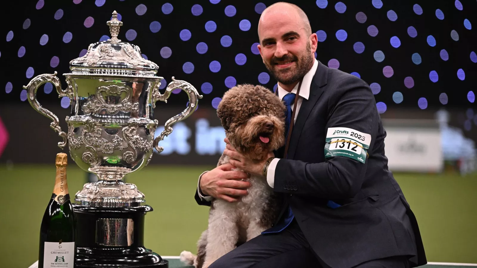 How To Watch the National Dog Show on Thanksgiving, Live Stream, TV Channel