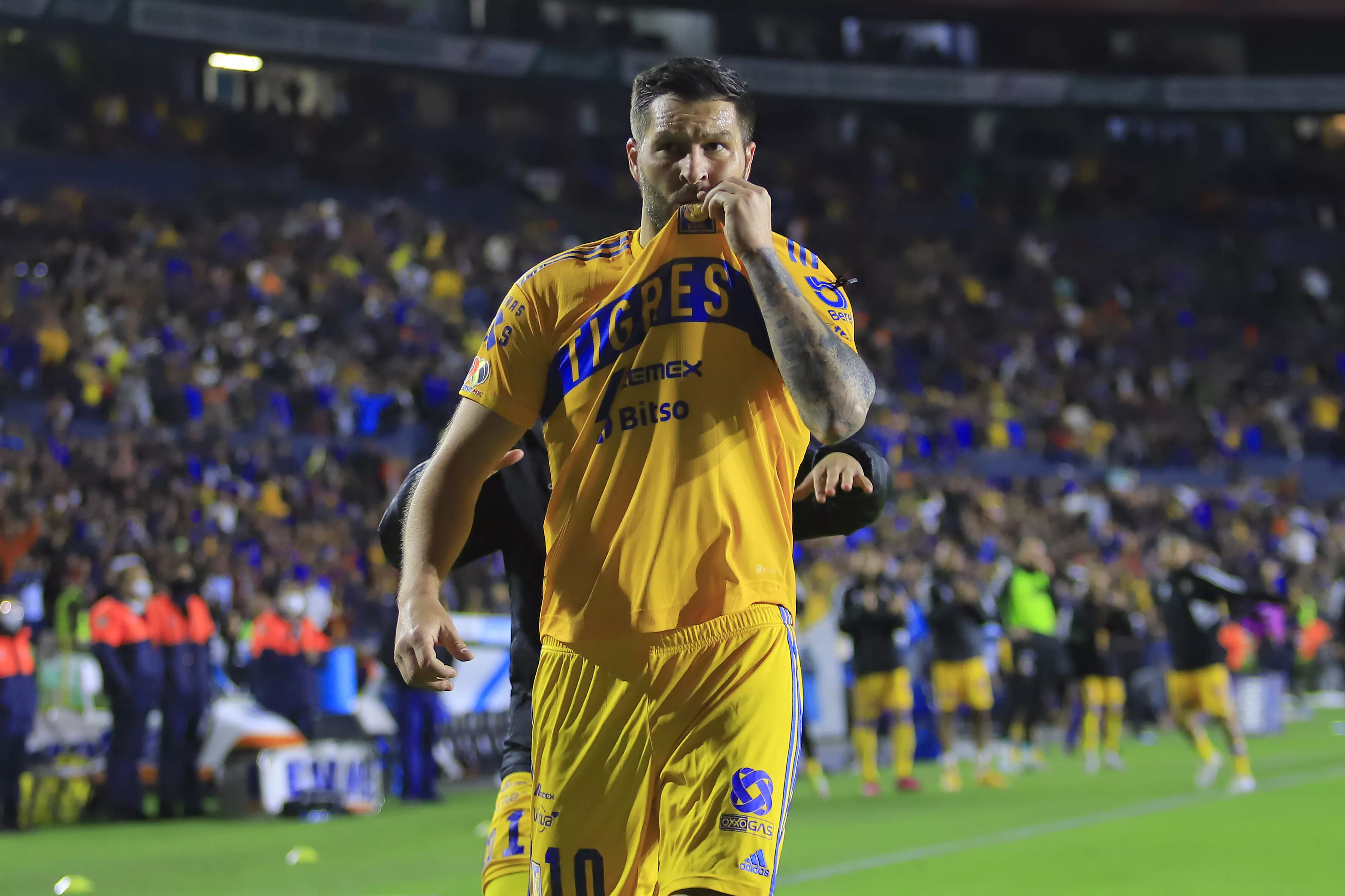 How to Watch San Luis vs Tigres UANL: Live Stream Liga MX Quarterfinals, TV
