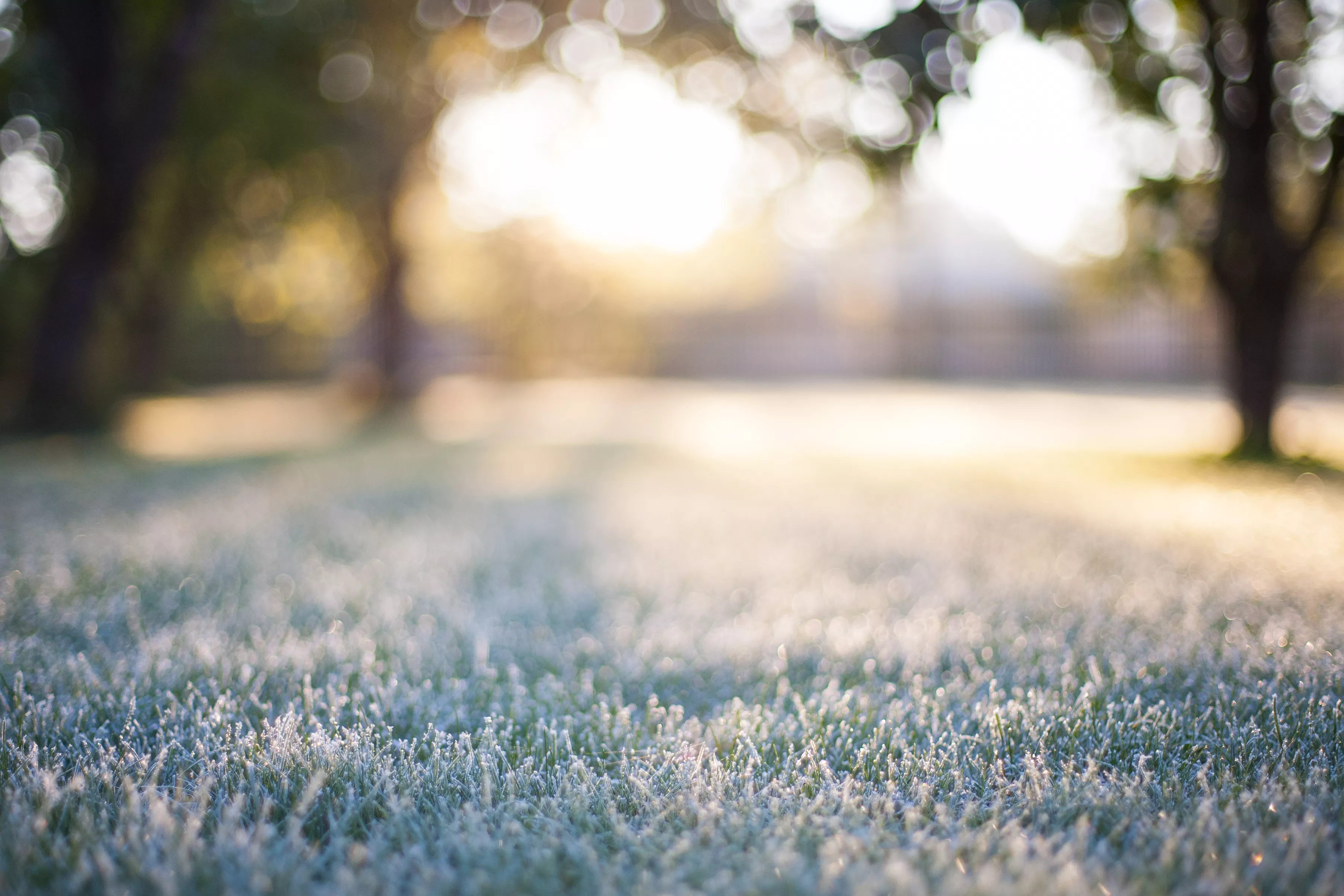 Cold front sparks weather alert for 9 Southern states
