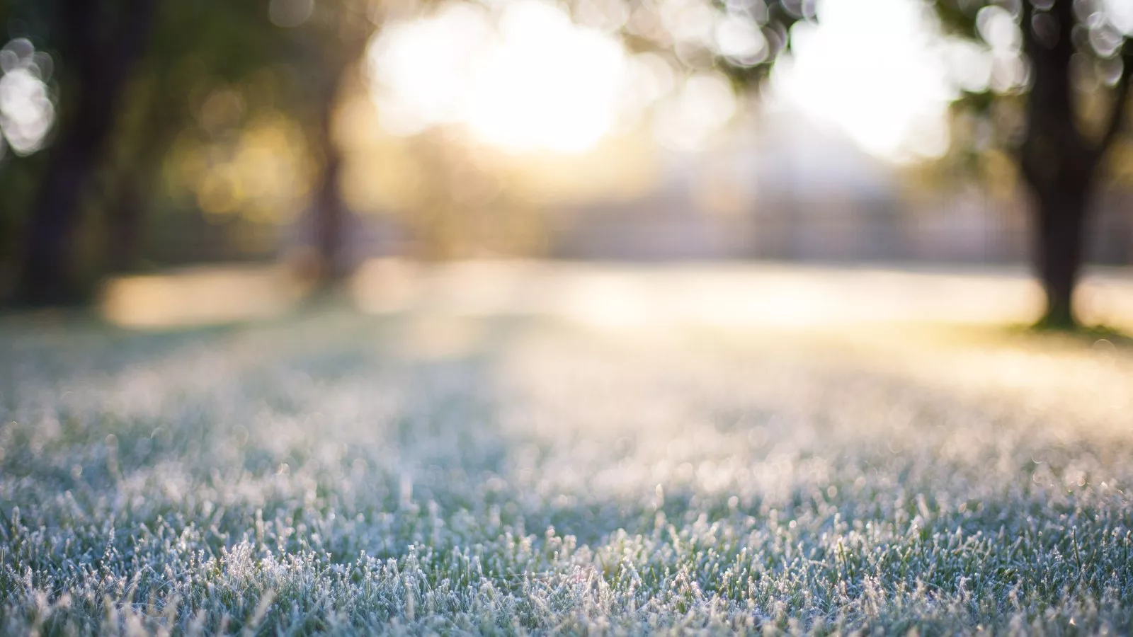 Cold front sparks weather alert for 9 Southern states