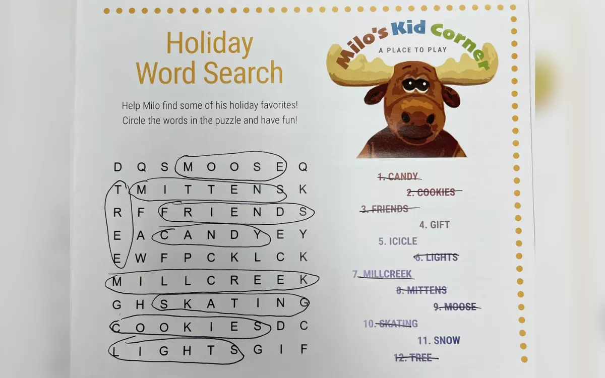 Man can't solve this "impossible" word search for kids in Utah