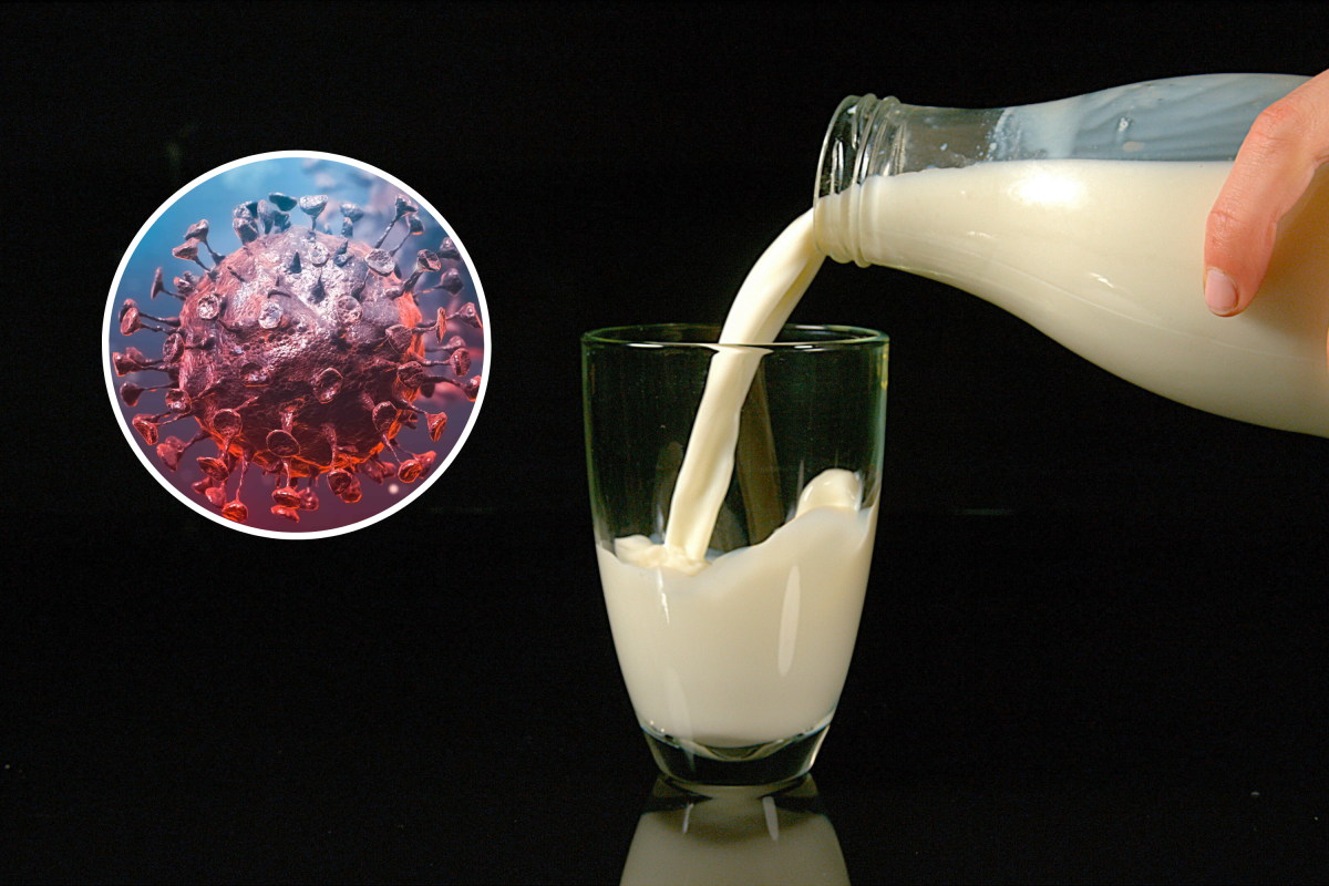 Milk poured into glass, virus