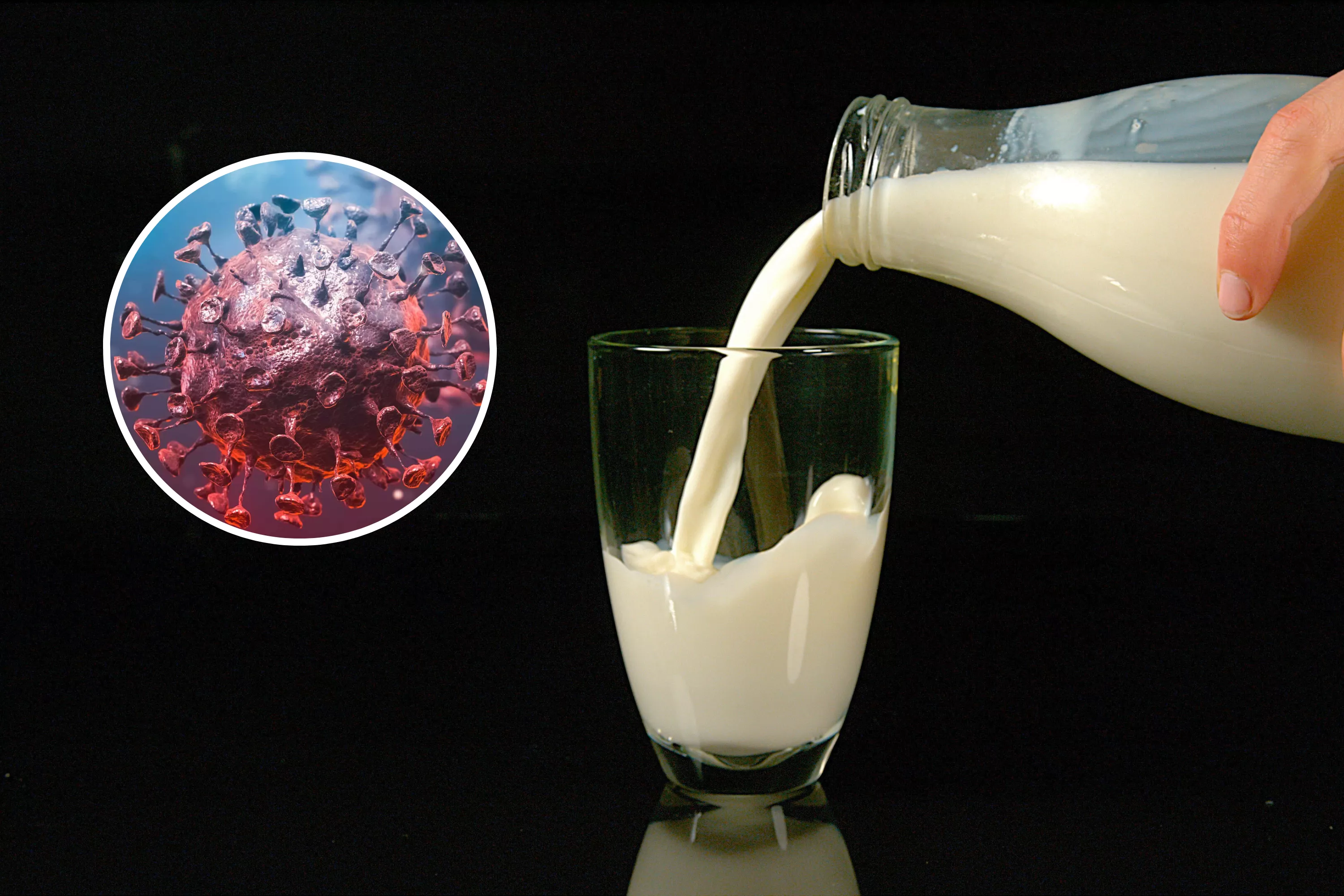 New warning issued over raw milk as bird flu cases rise
