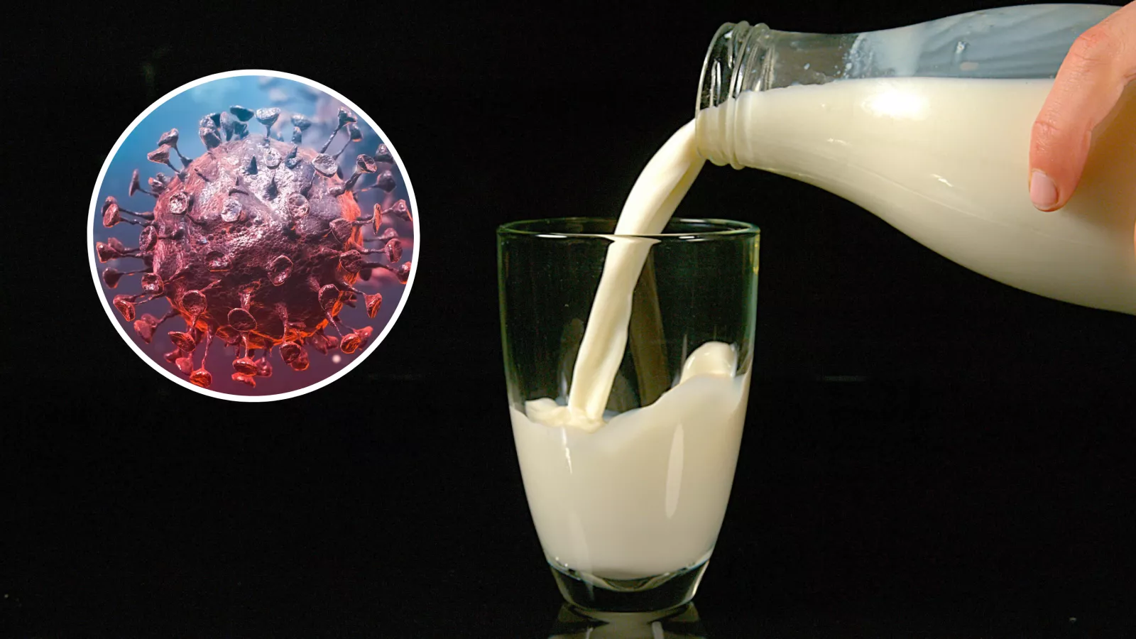 New warning issued over raw milk as bird flu cases rise