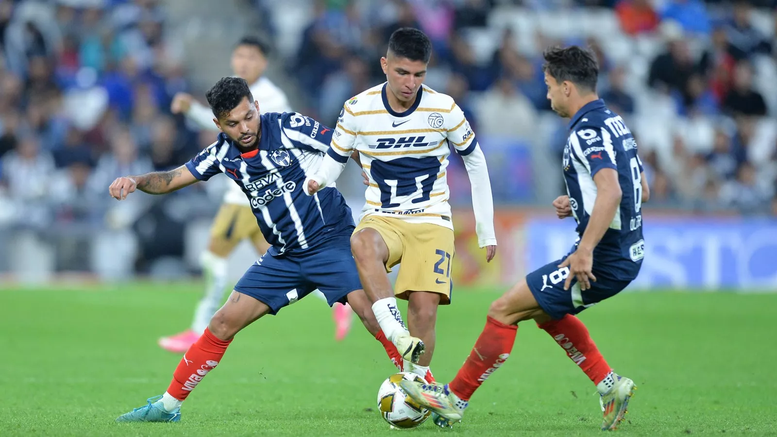 How to Watch Pumas UNAM vs Monterrey: Live Stream Liga MX, TV Channel