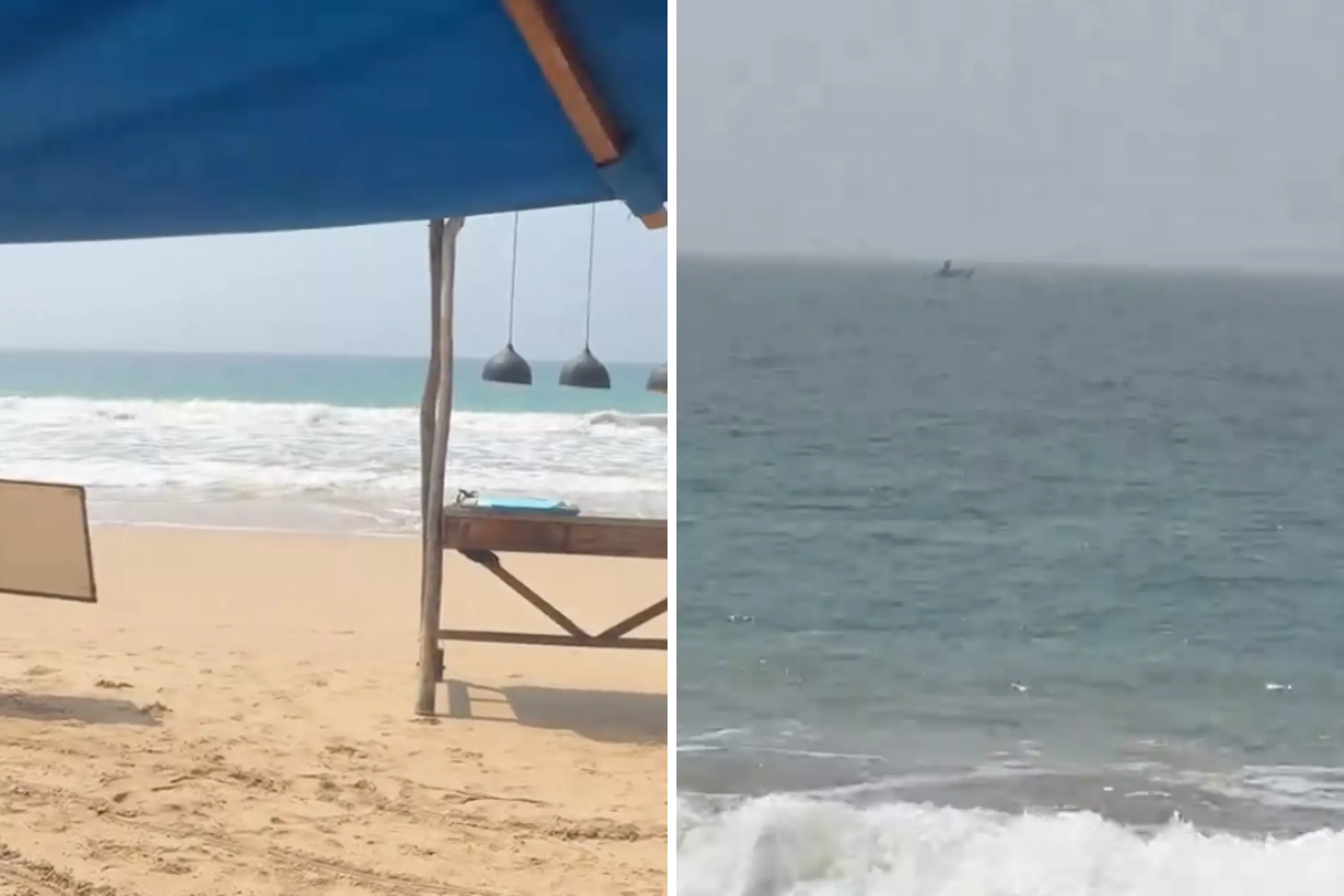 Couple on vacation get ready for ocean swim, then spot what's in the water
