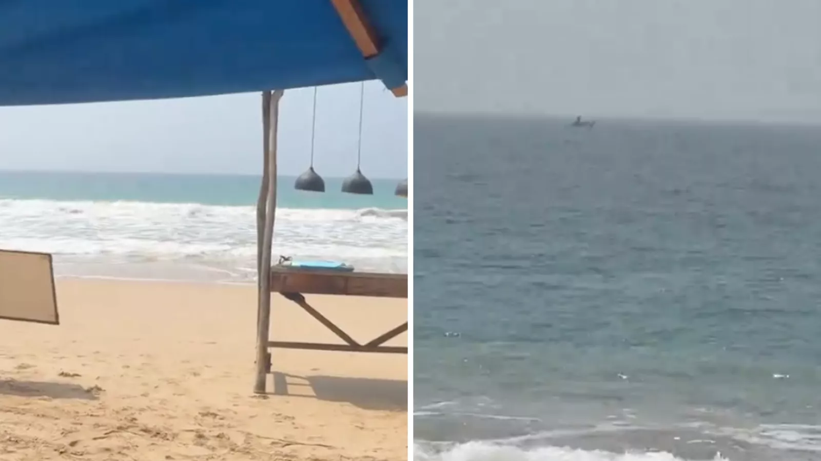 Couple on vacation get ready for ocean swim, then spot what's in the water