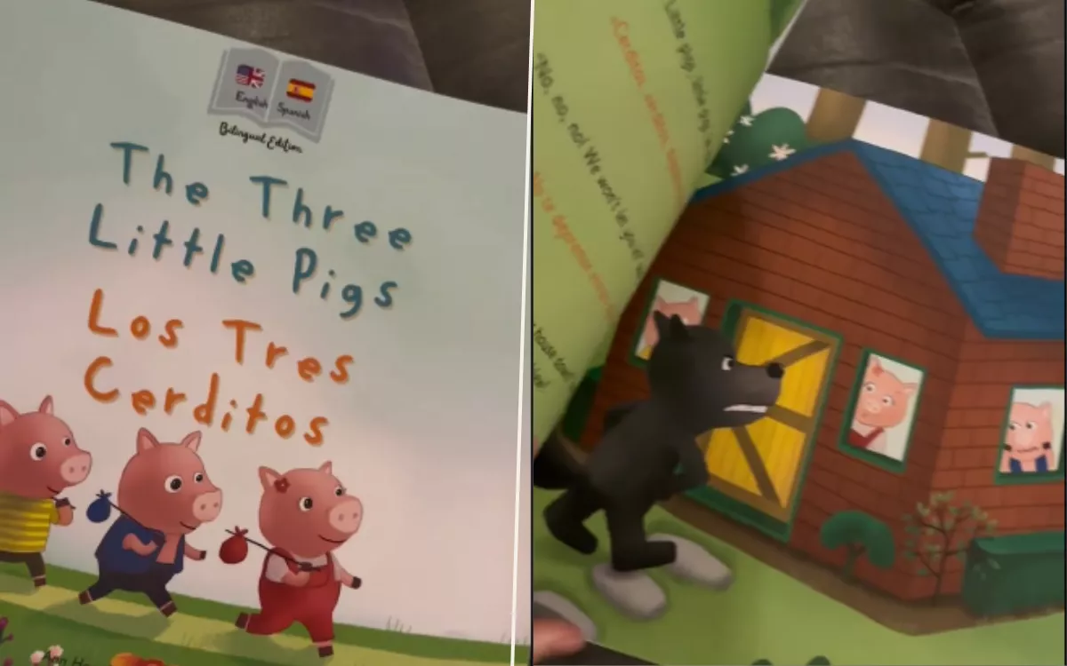 Woman orders children's book as gift, finds very unsuitable surprise inside