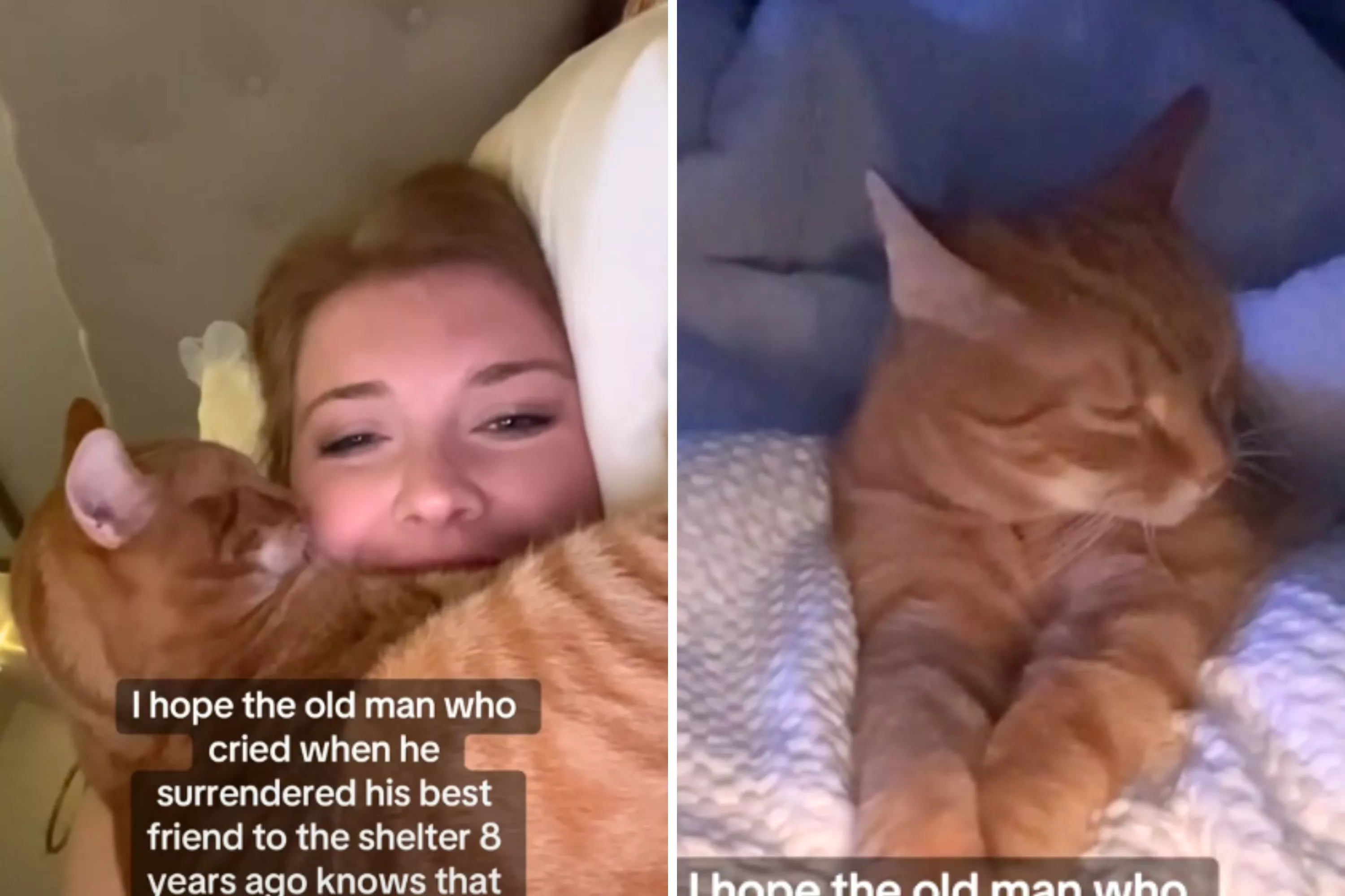 New owner has message for 80-year-old man who tried to help senior cat