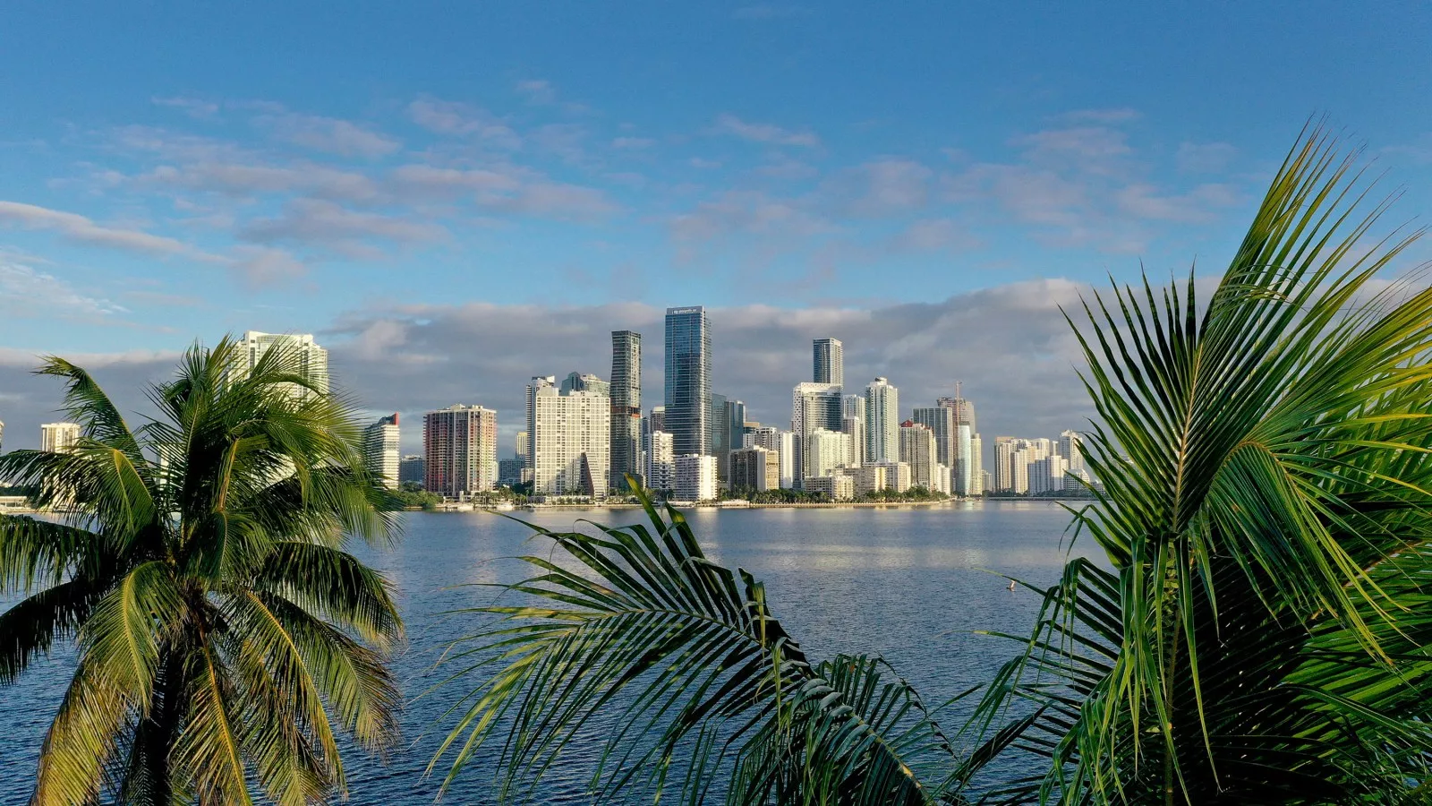 Florida city starts December with lower temperatures than last four years