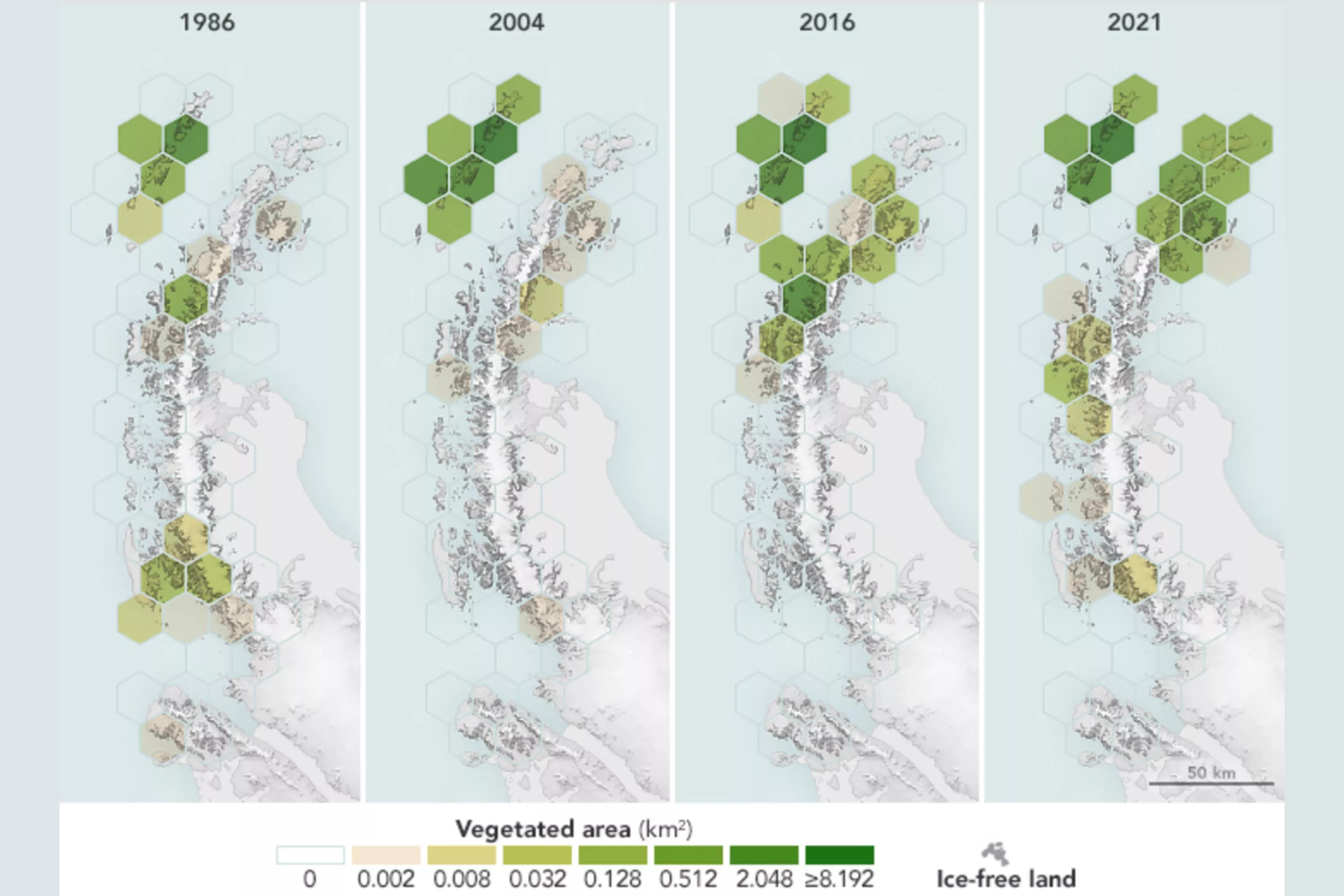 NASA images show Antarctica getting greener as ice melts