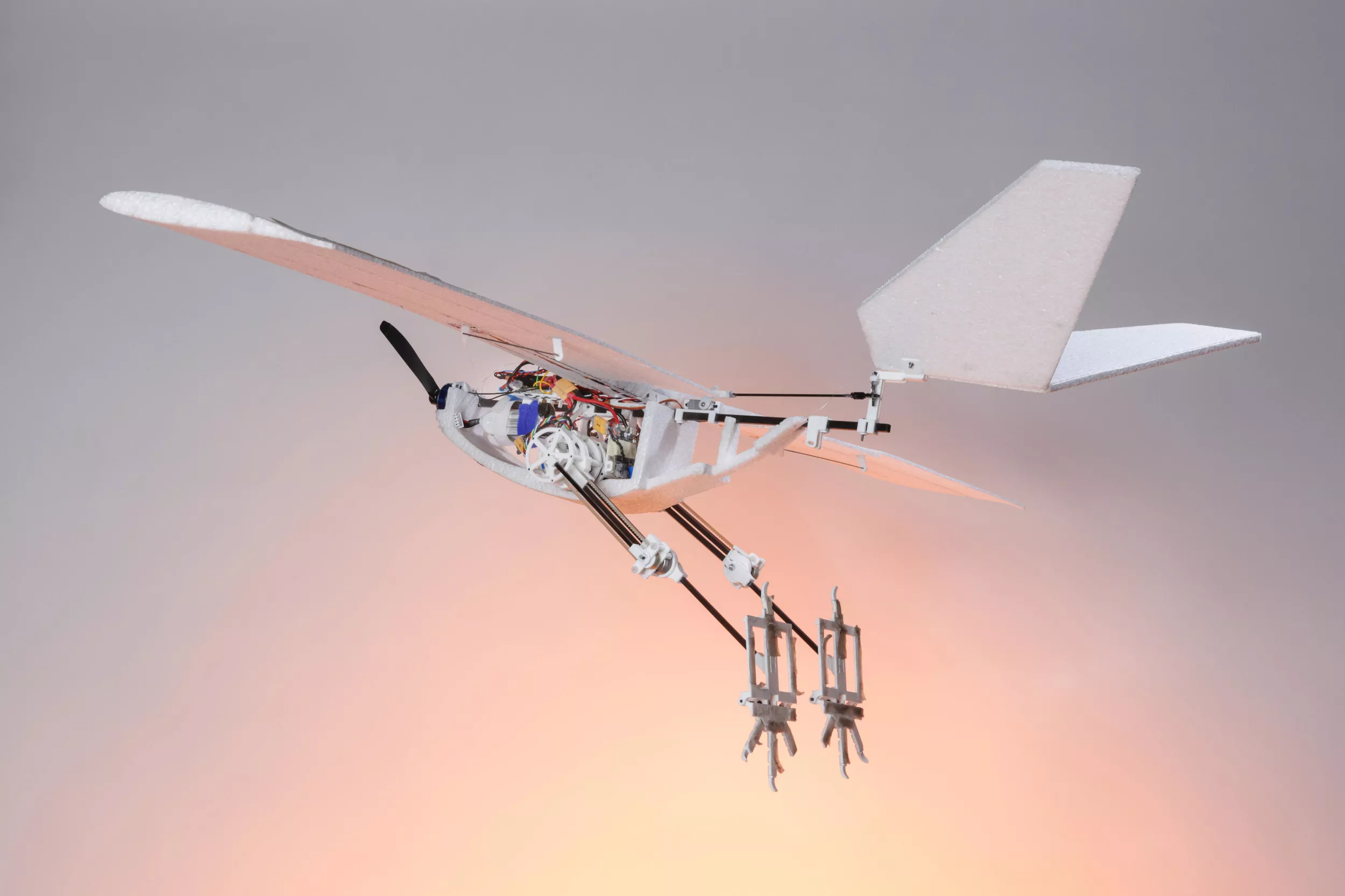 Robot bird can walk, hop and jump for take-off