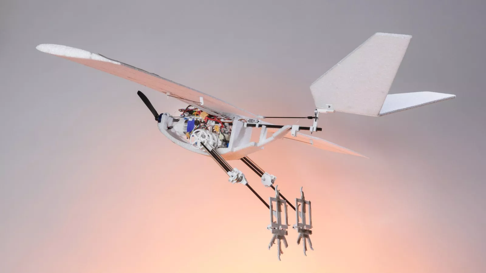 Robot bird can walk, hop and jump for take-off