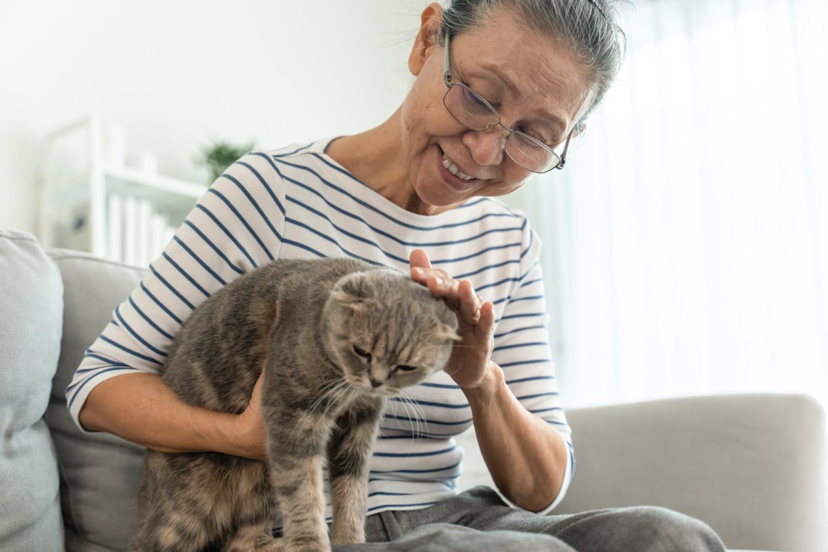 Cat being caressed by older woman.