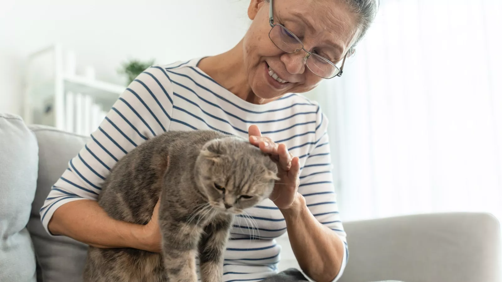 Mom's unexpected pastime with cat she "didn't want" delights internet