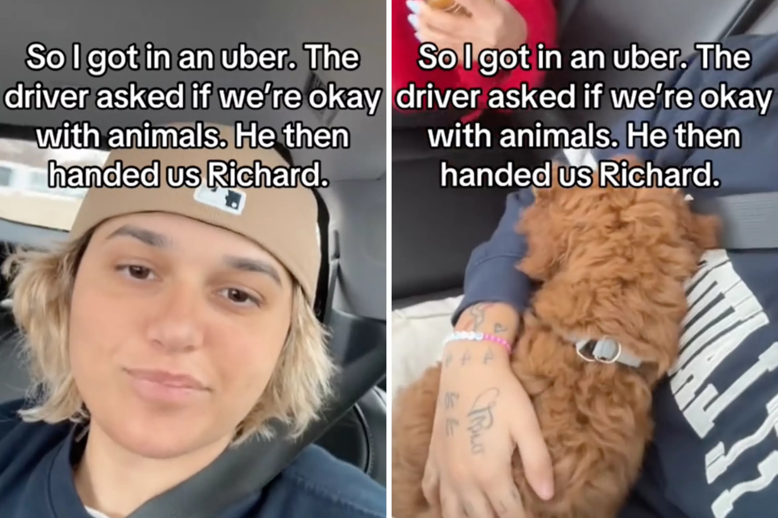 Uber rider asked if they mind animals -- not prepared for what they're given