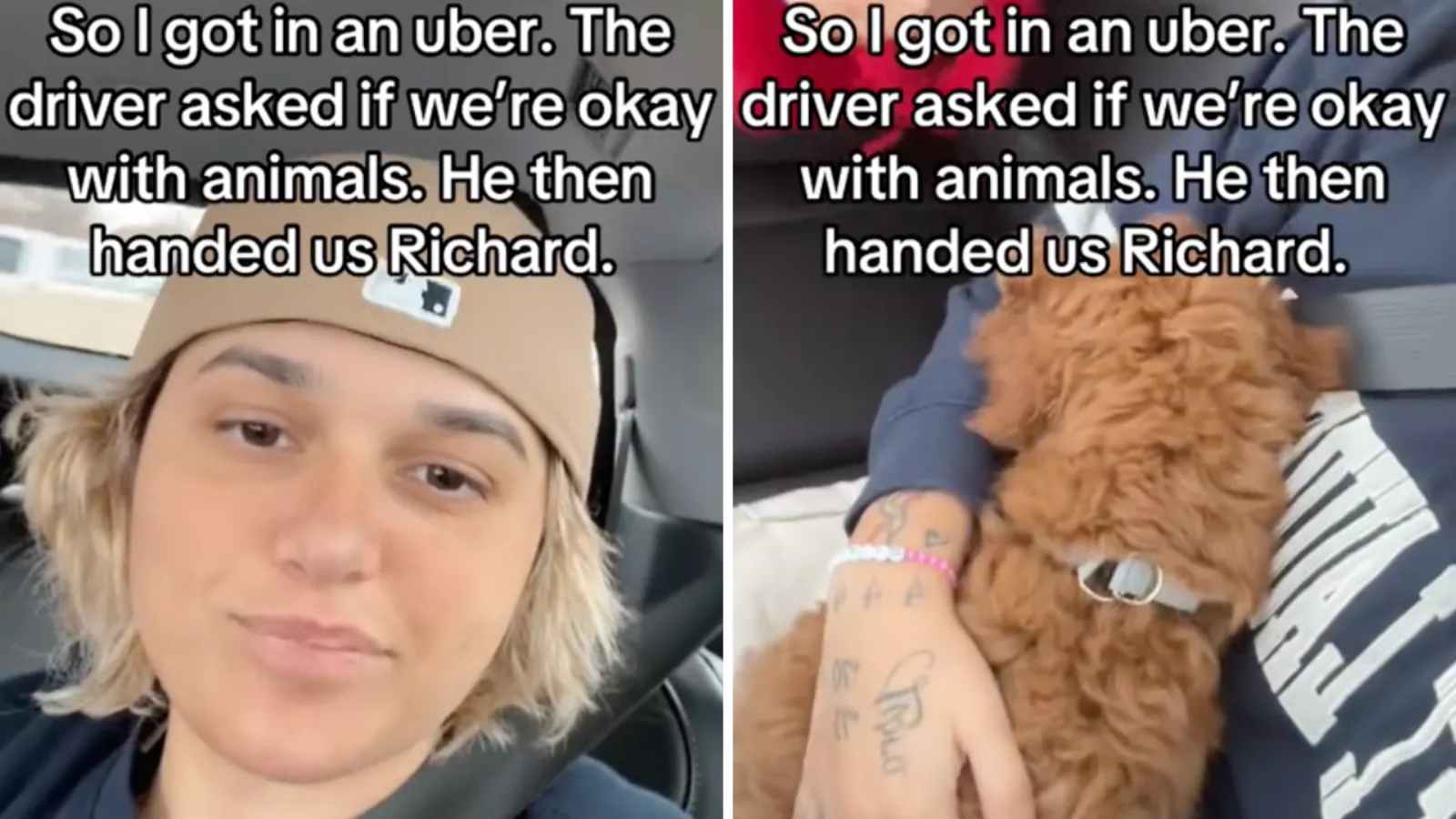 Uber rider asked if they mind animals -- not prepared for what they're given