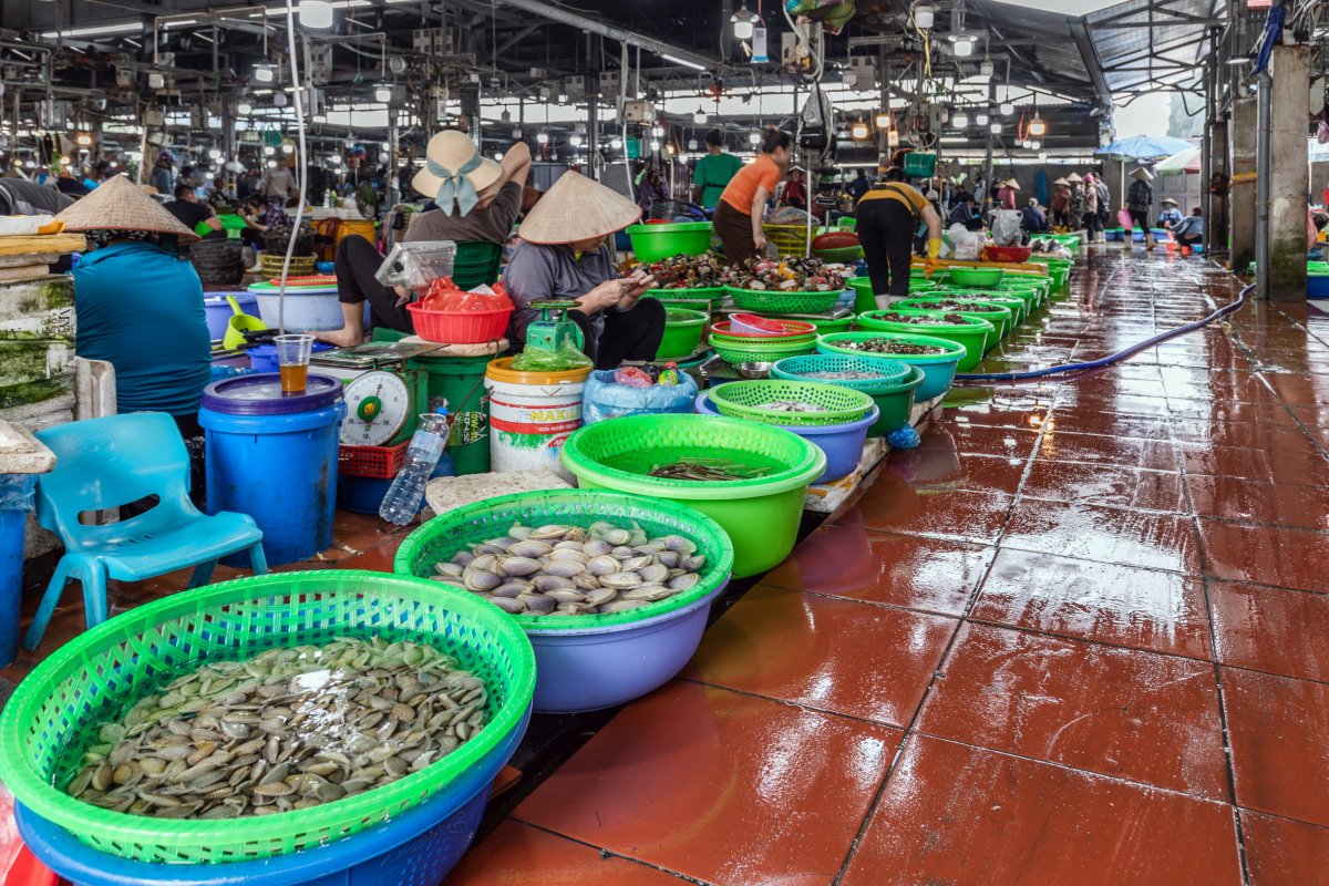 Fish market in Ha Long, Vietnam