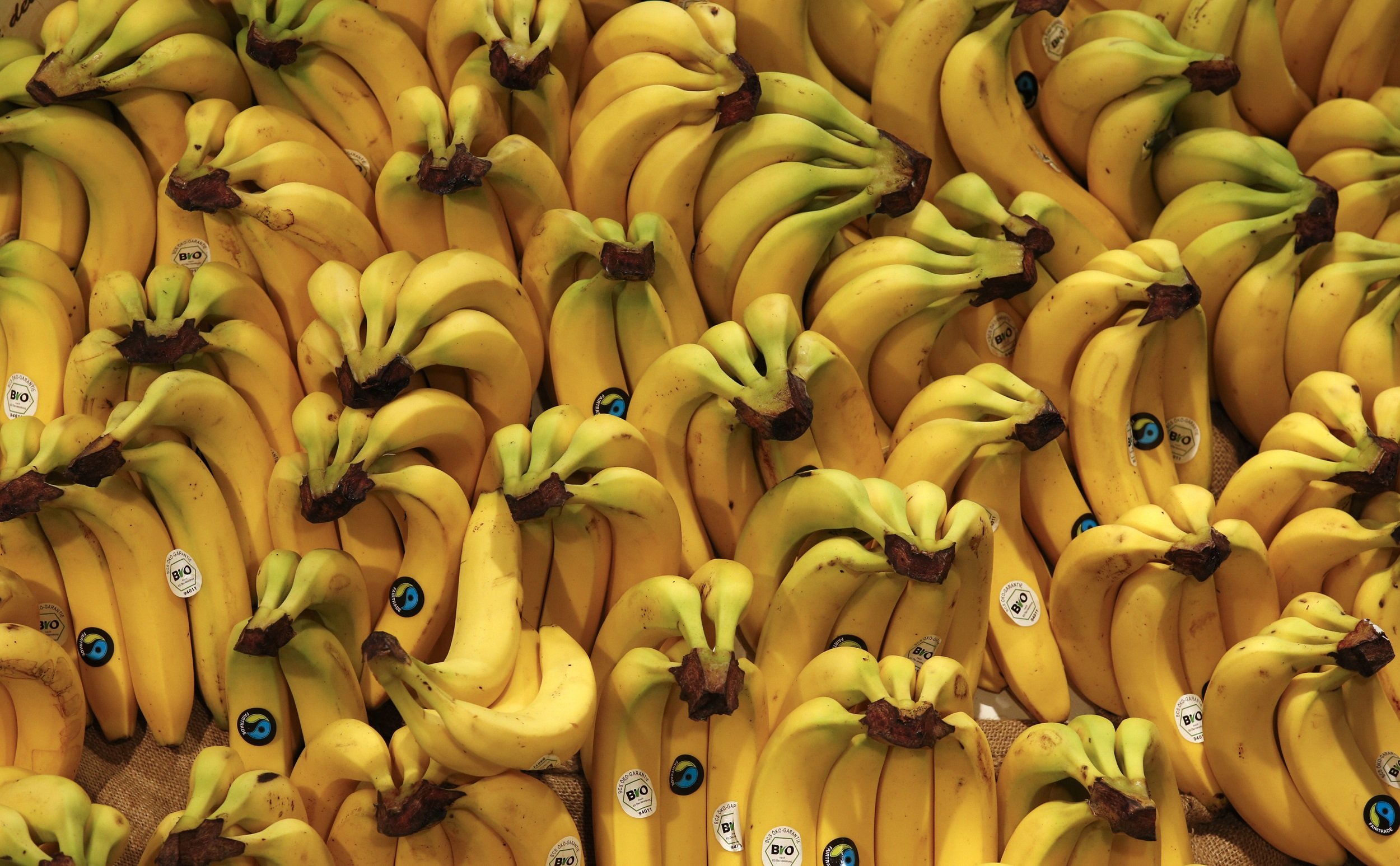 Много разных бананов