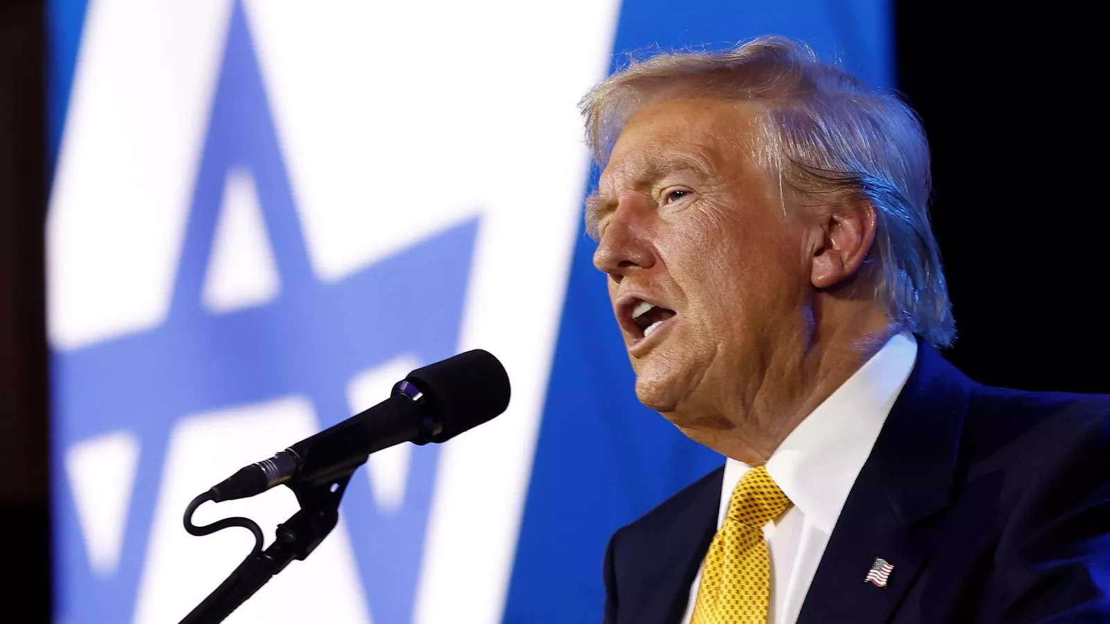Trump Must Use His Middle East Leverage to Help the Palestinians | Opinion