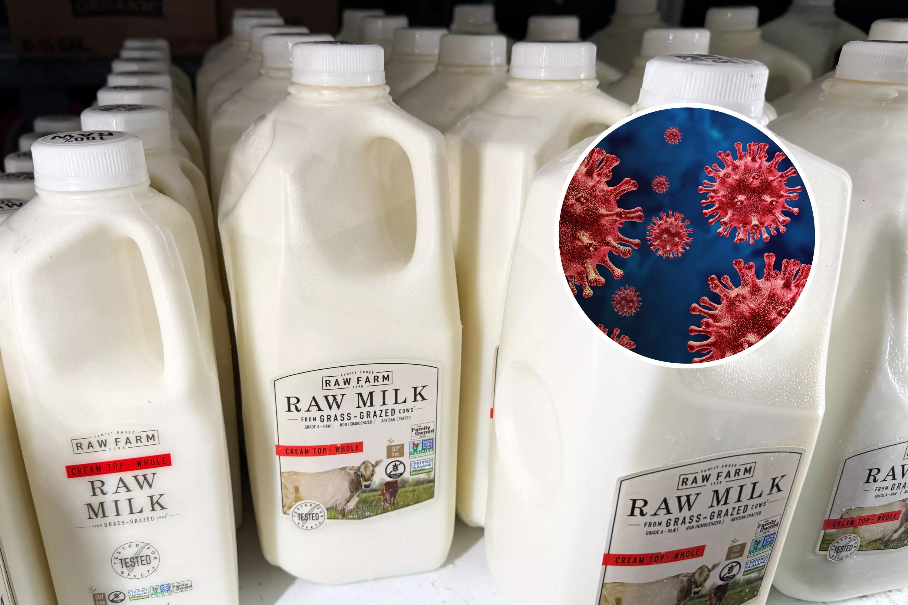 Raw milk recall in California as "bird flu contamination" feared
