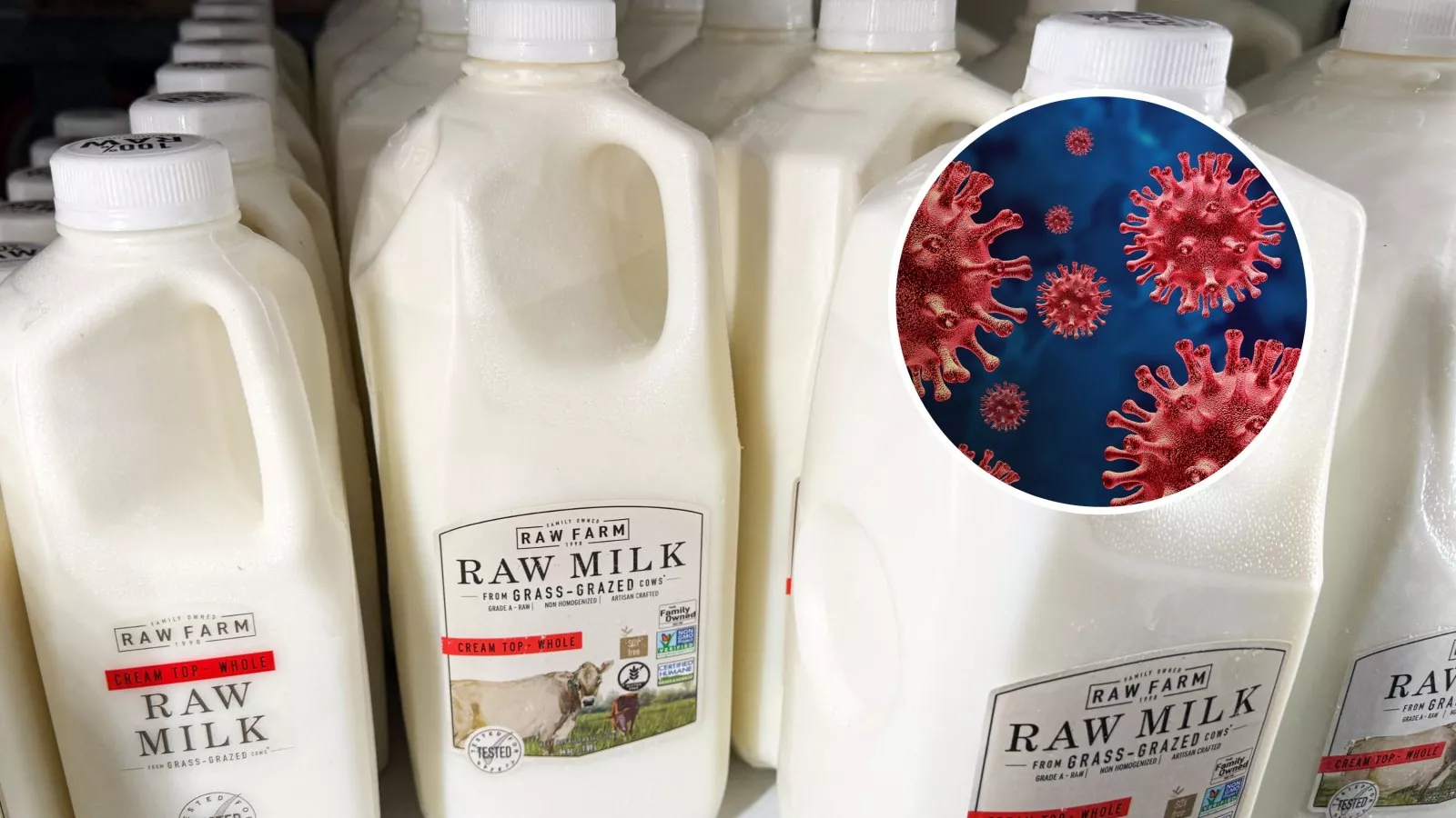 Raw milk recall in California as "bird flu contamination" feared