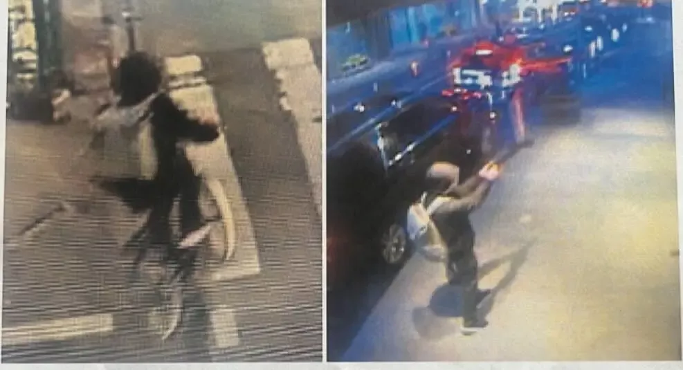 Insurance CEO's assassin loose in NYC; Rockefeller tree iighting still on