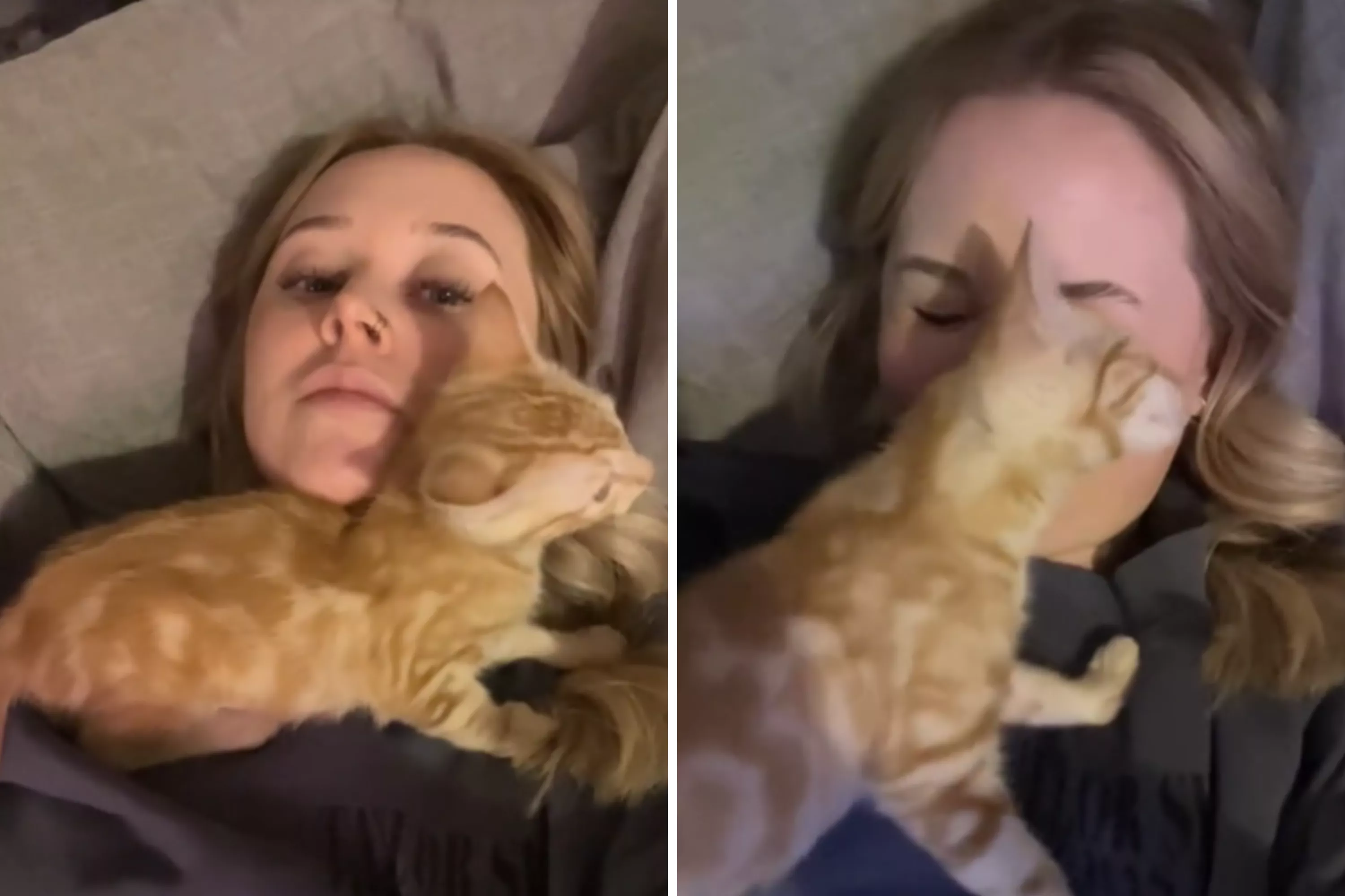 Owner gets first-ever kitten  --  not prepared for daily "acrobatics"