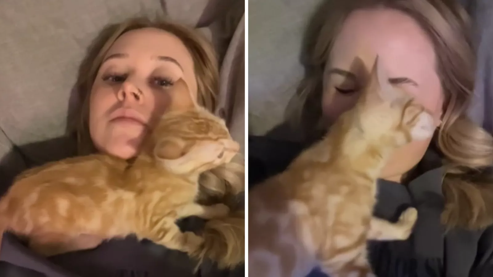 Owner gets first-ever kitten -- not prepared for daily "acrobatics"