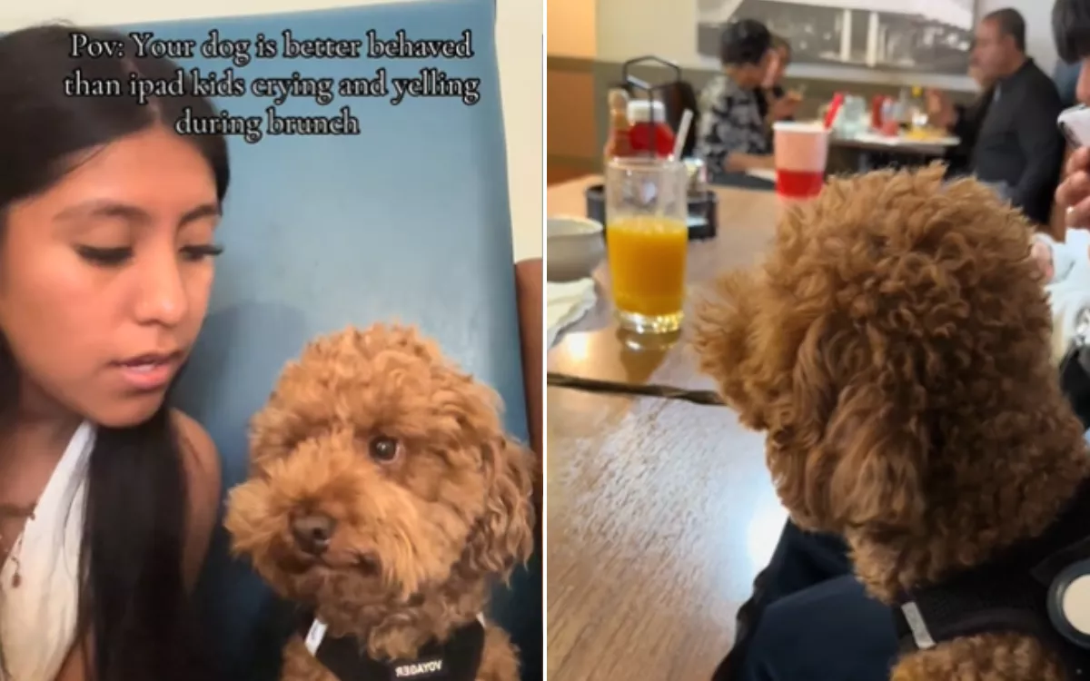 Woman can't believe dog's behavior vs "iPad kids" in busy restaurant