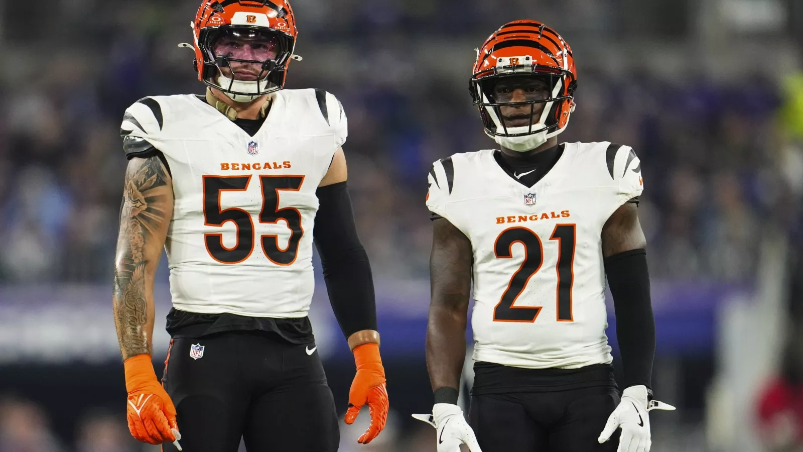 Bengals Defensive Star Logan Wilson Undergoes Season Ending Knee Surgery - Newsweek