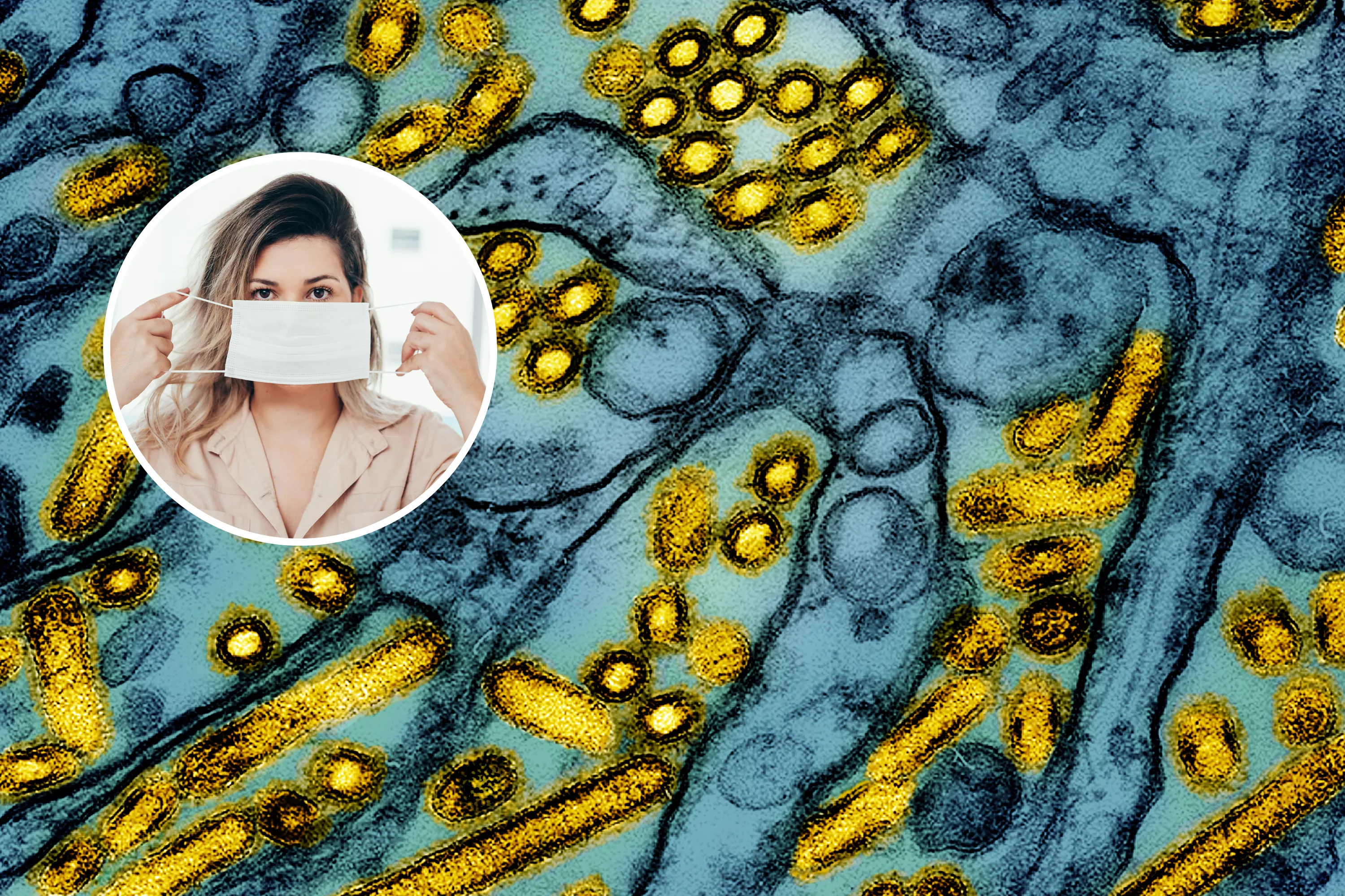 Bird flu mutation could trigger pandemic in humans