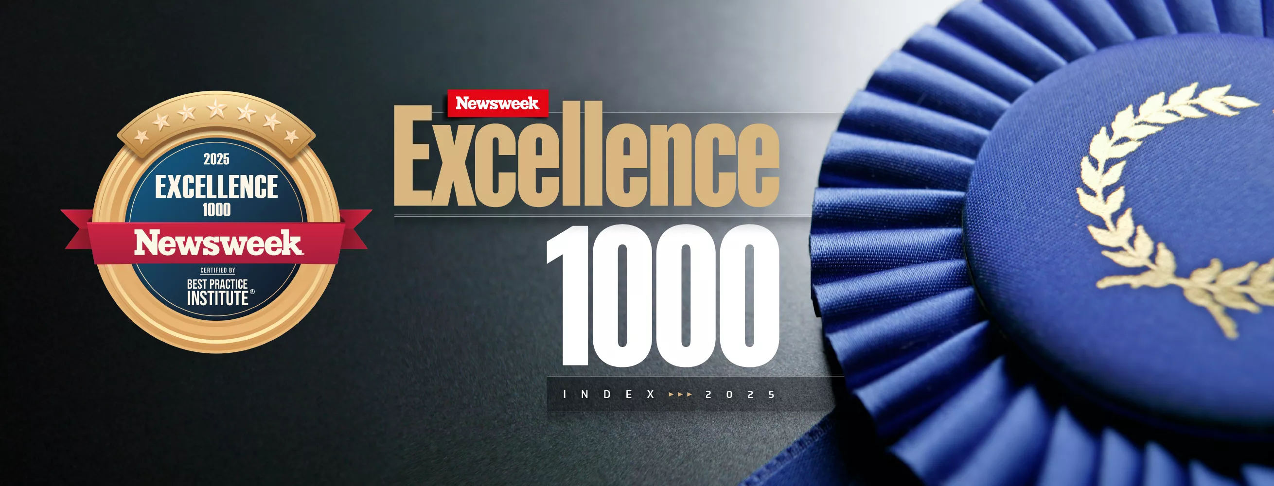 Newsweek Excellence Index 2025 - Newsweek Rankings