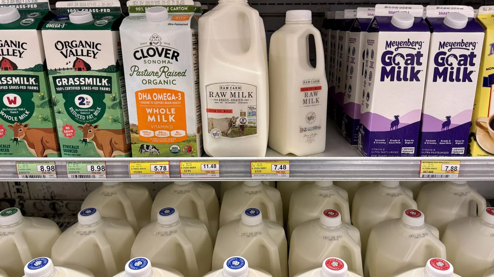 Milk in 6 US states to be tested for bird flu