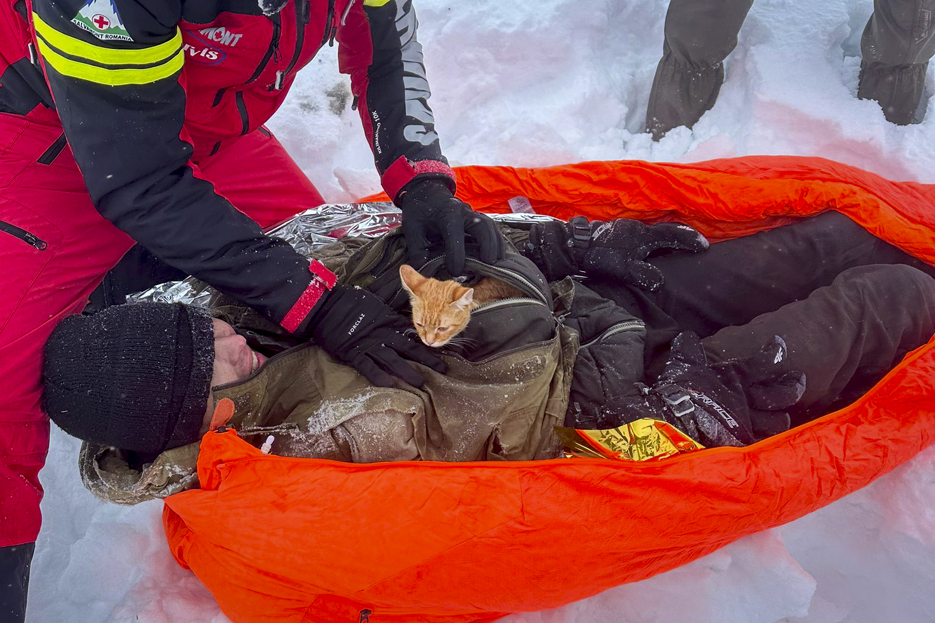 Kitten saves man from freezing to death in mountains