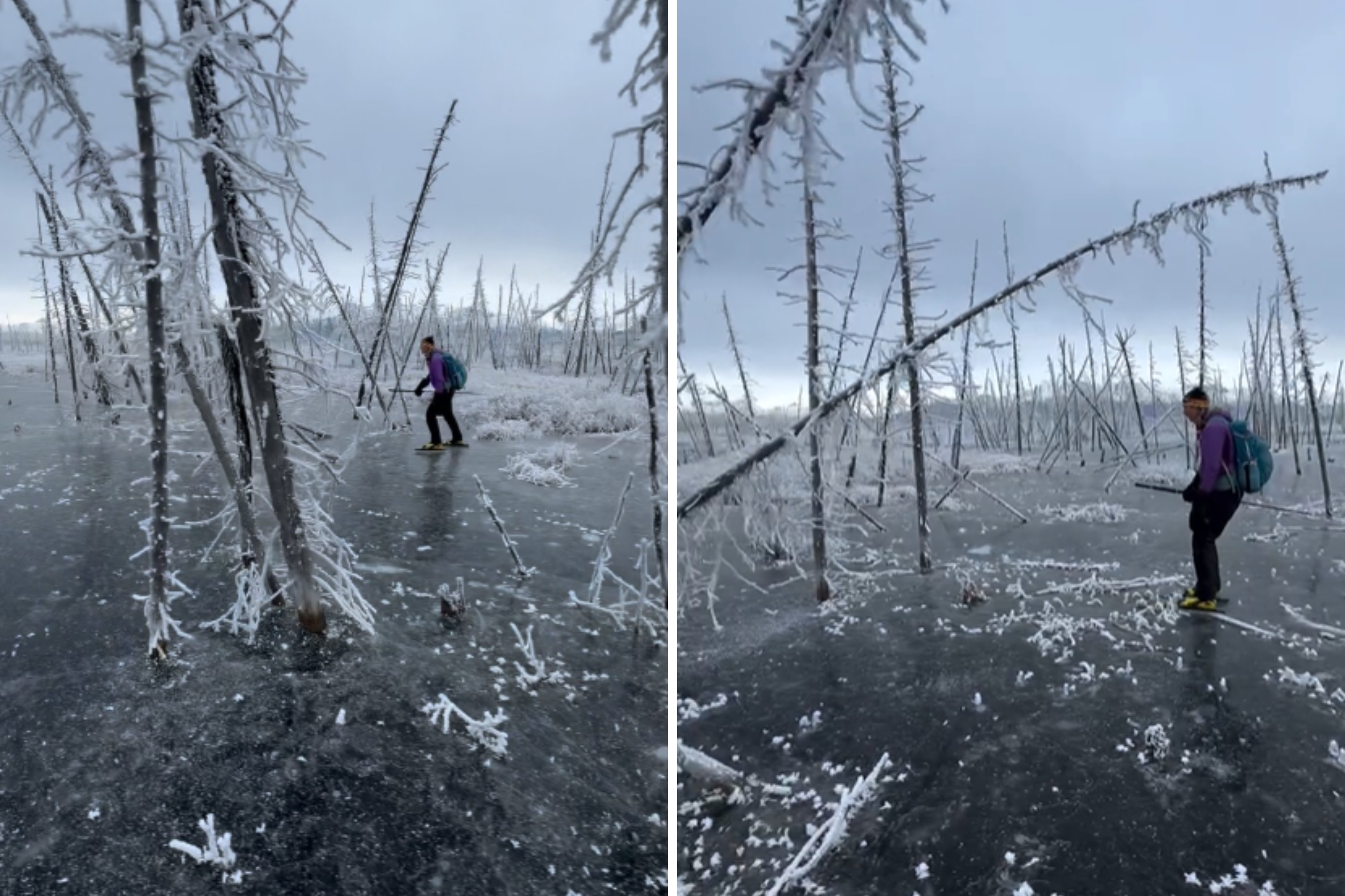 Man skates through incredible “drowned forest” frozen over in Alaska 