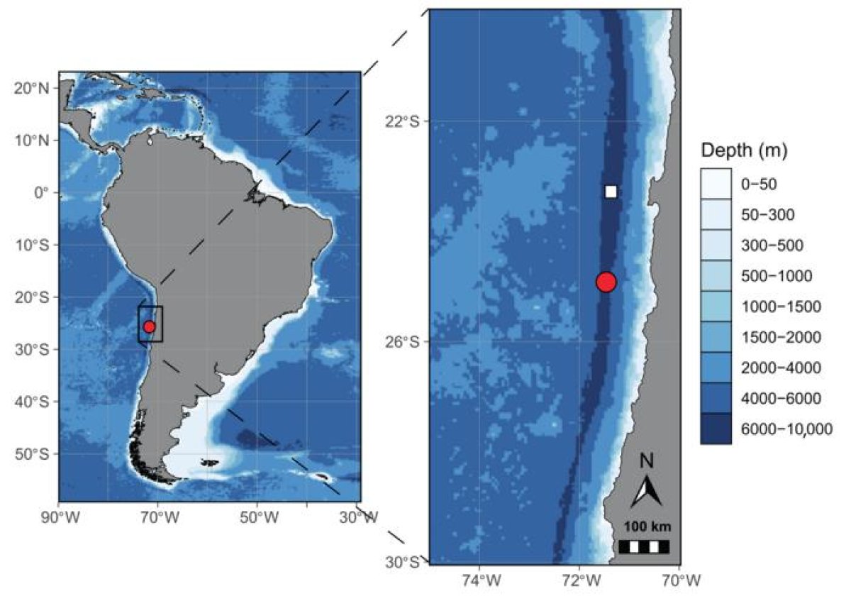 atacama trench