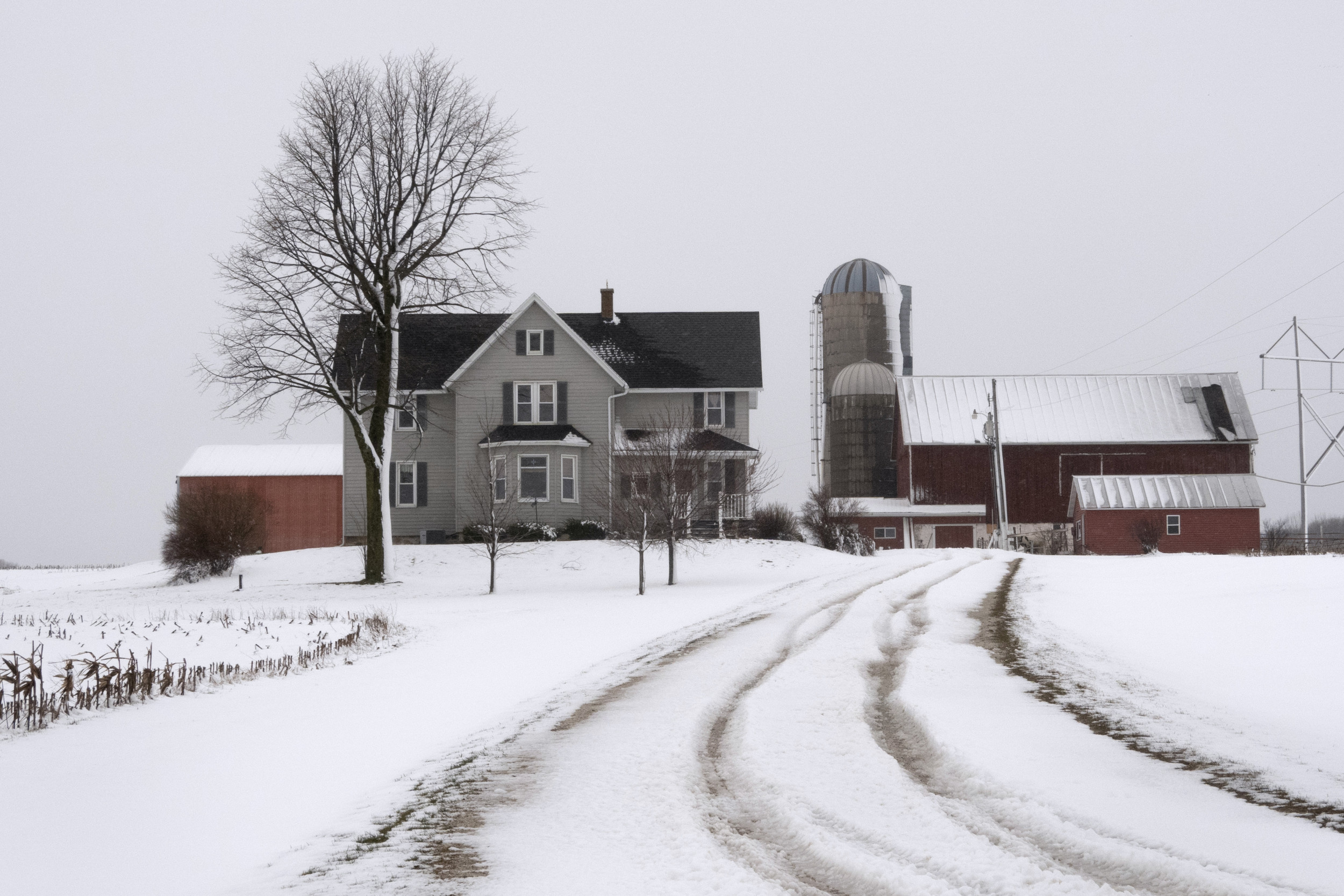 Sudden Whiteout! Snow Squalls to Hit Millions from Minnesota to New England