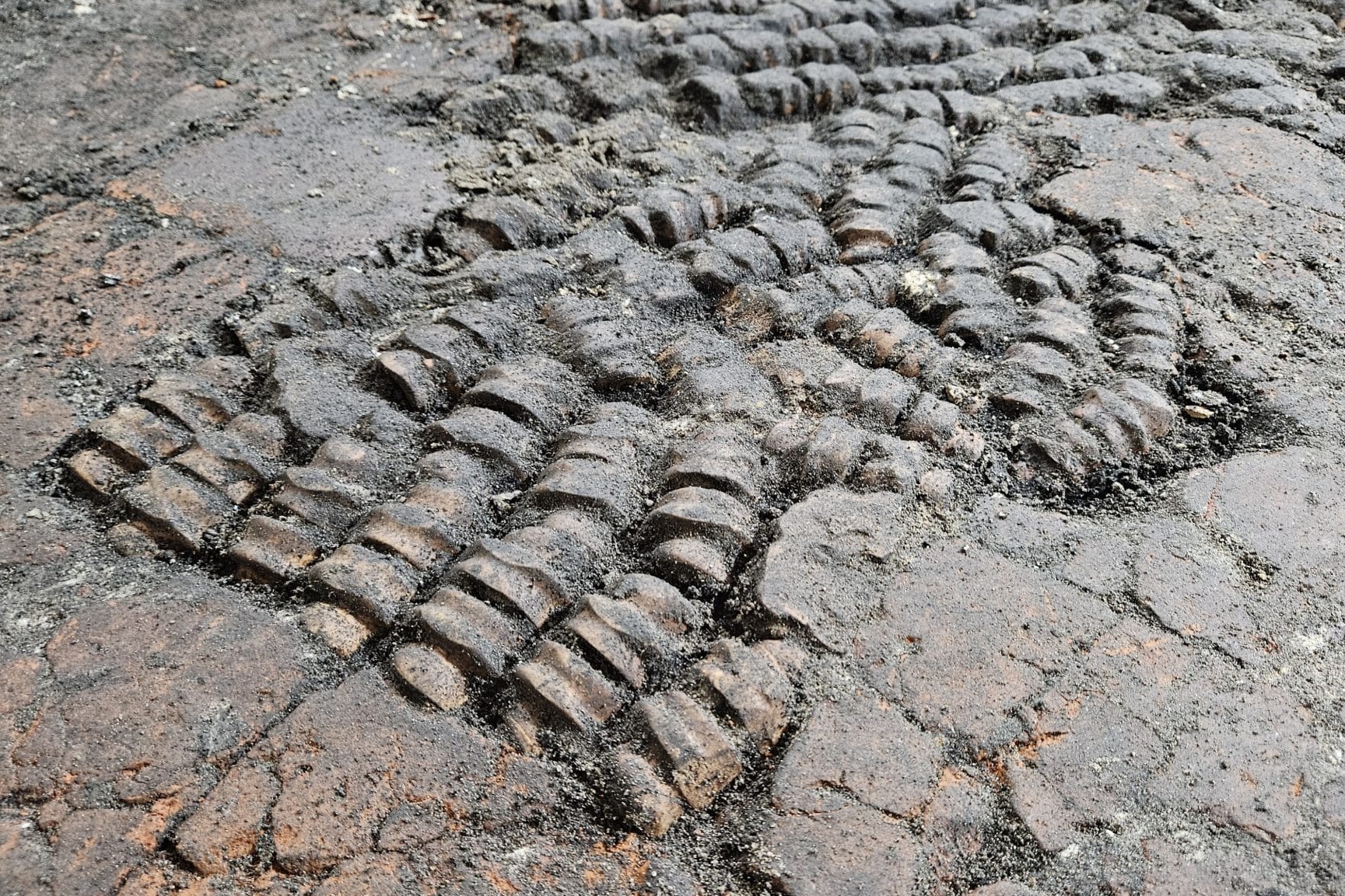 Rare Bone-Filled Floor Discovered in Alkmaar