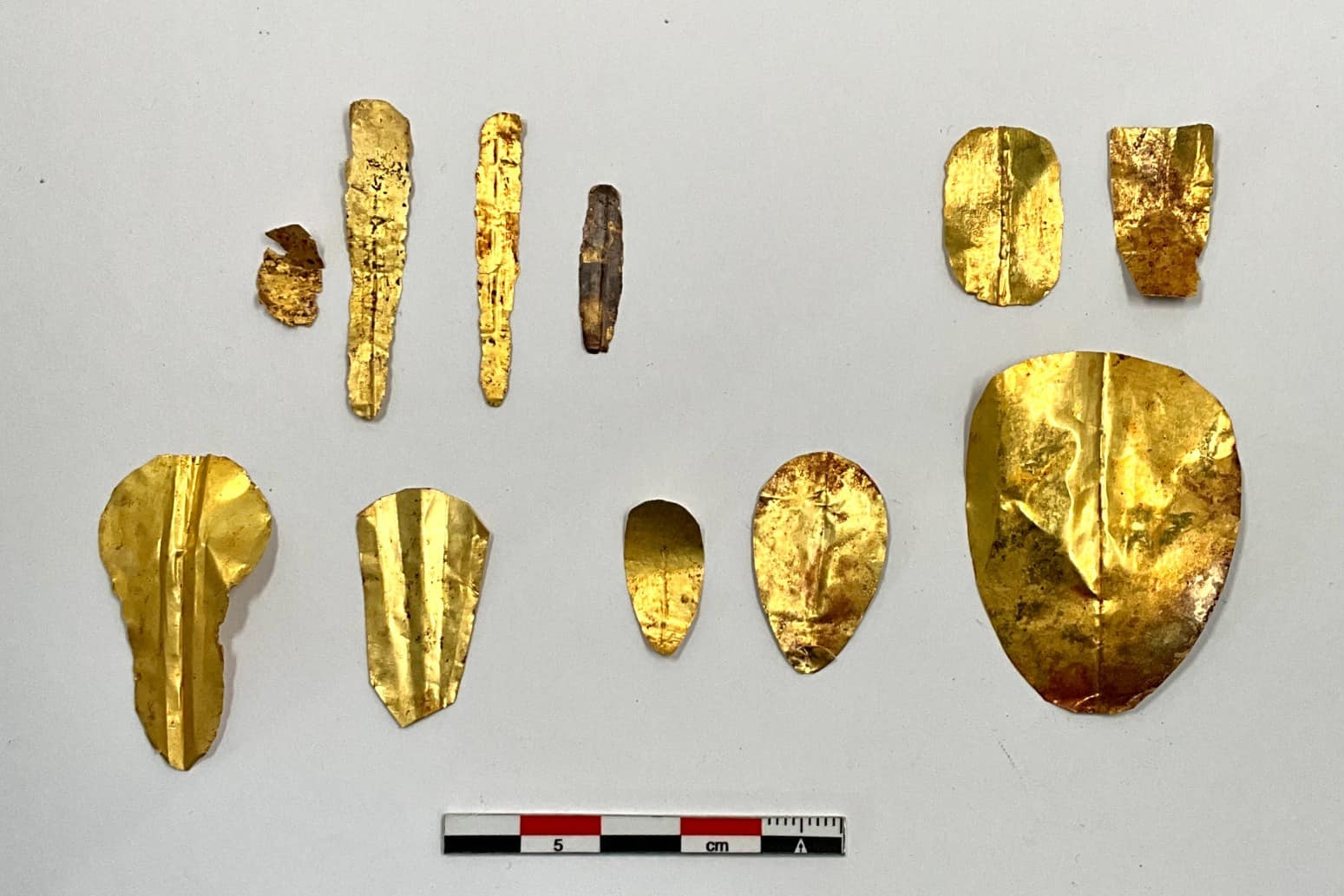 Ancient Egyptian Golden Tongues Found in Rare Mummy Discovery 