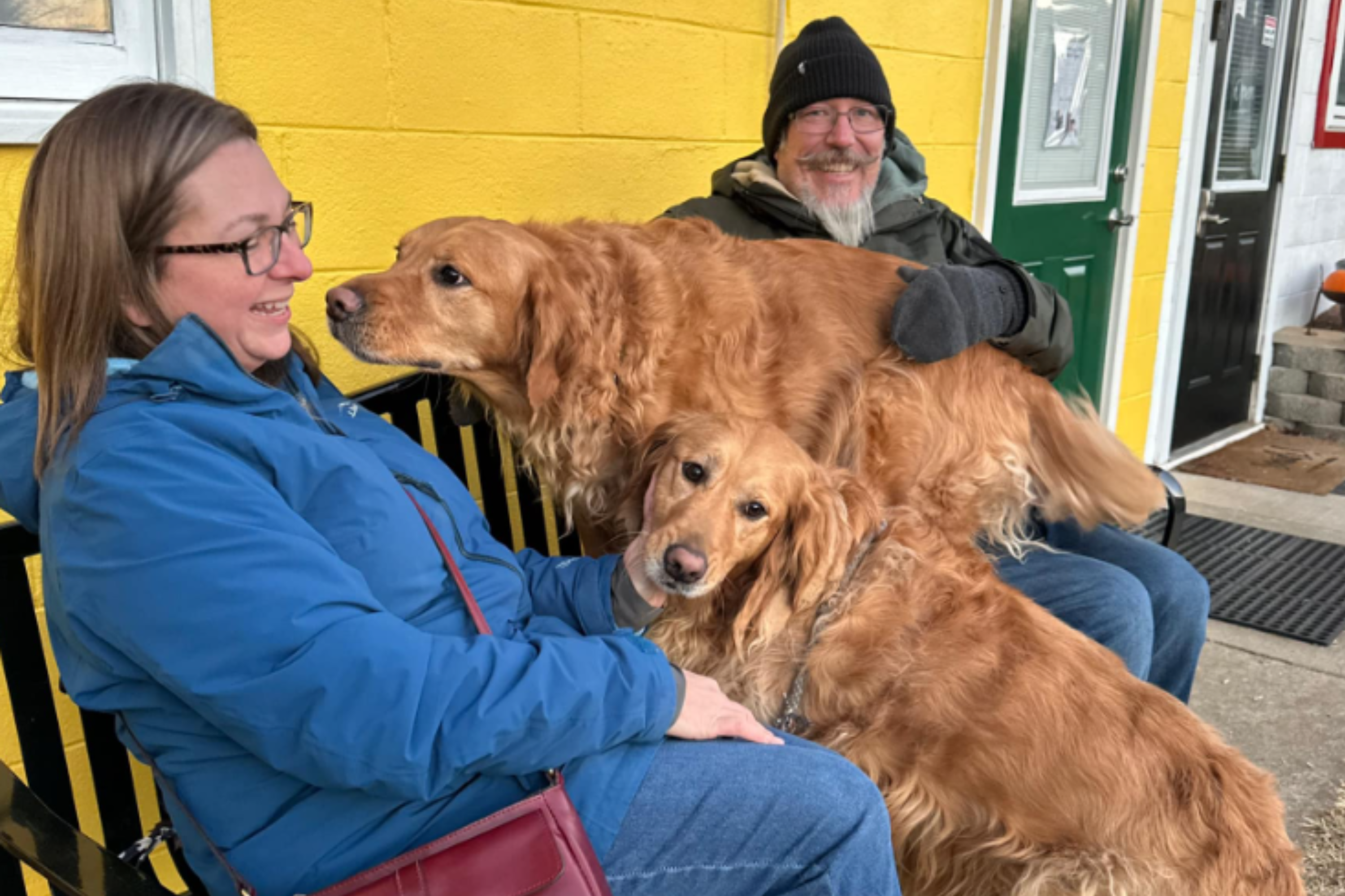 Family Plans to Adopt One Golden Retriever, Then They Find His Sibling