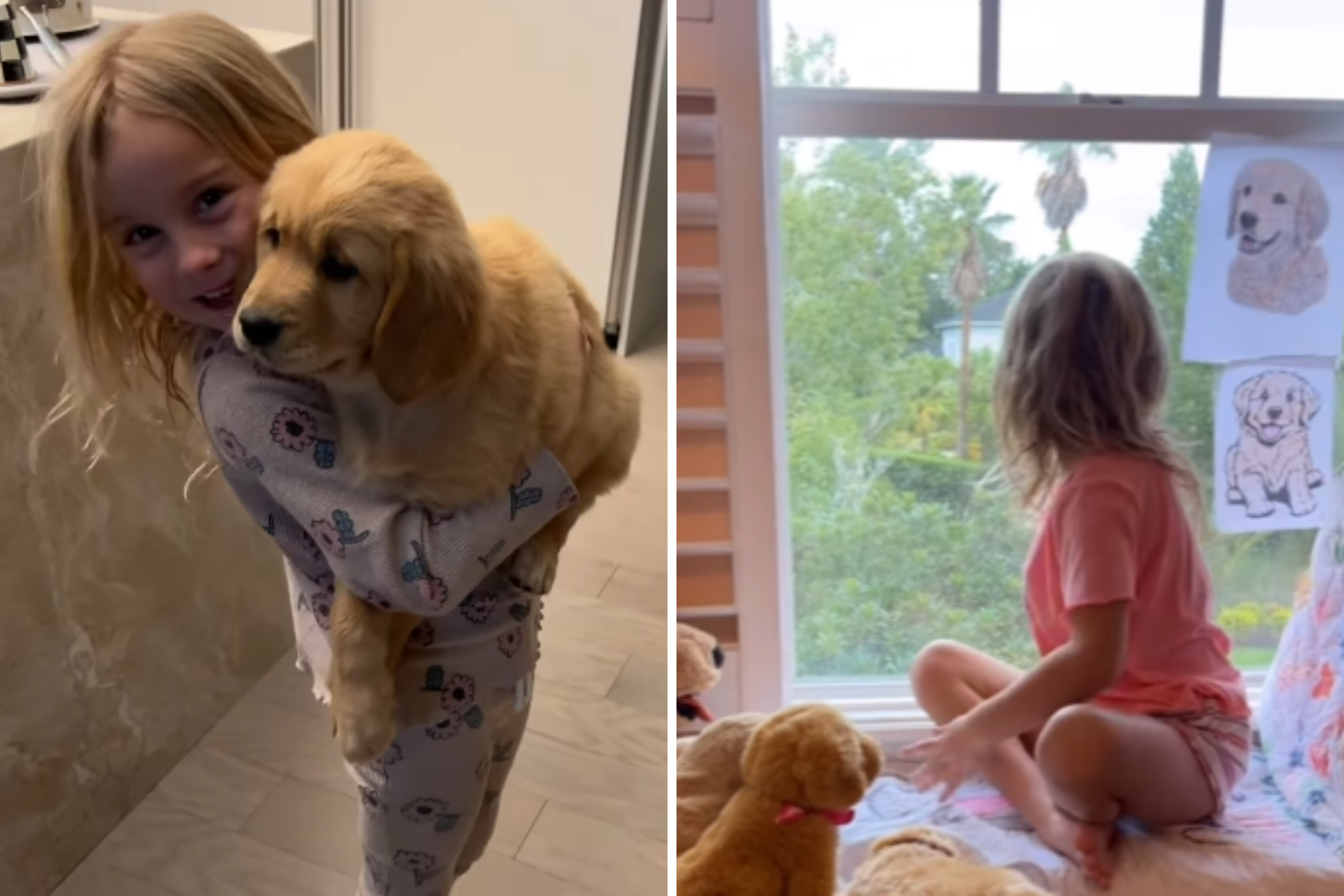 6-Year-Old Gets Puppy She Begged for All Year, and Her Reaction Says It All