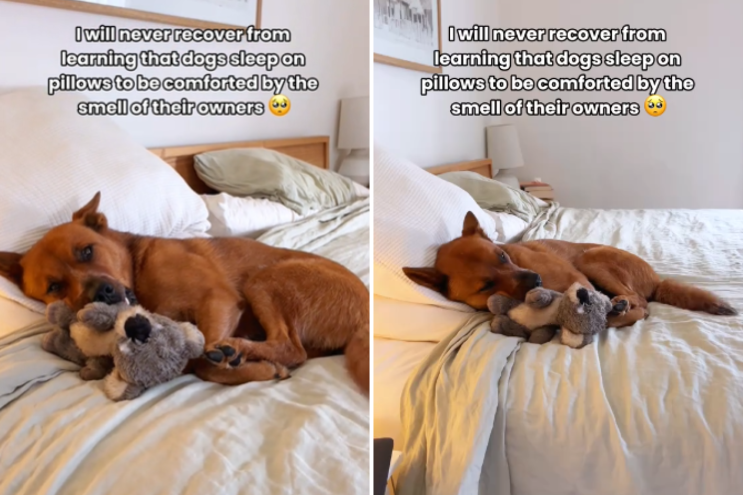 お値下げしました‼️』WHO IS SLEEPING ON MY PILLOW お値下げしました