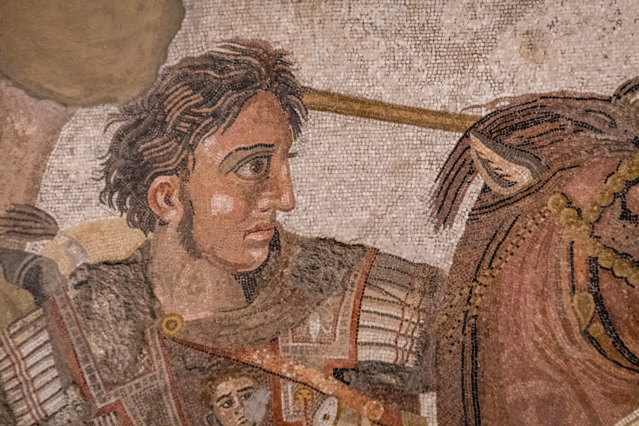 Lost Battlefield Of Alexander The Great Discovered - Newsweek