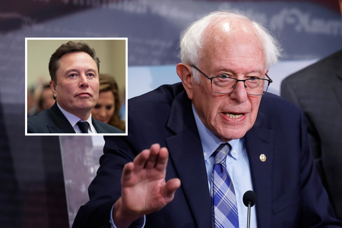 Elon Musk and Bernie Sanders